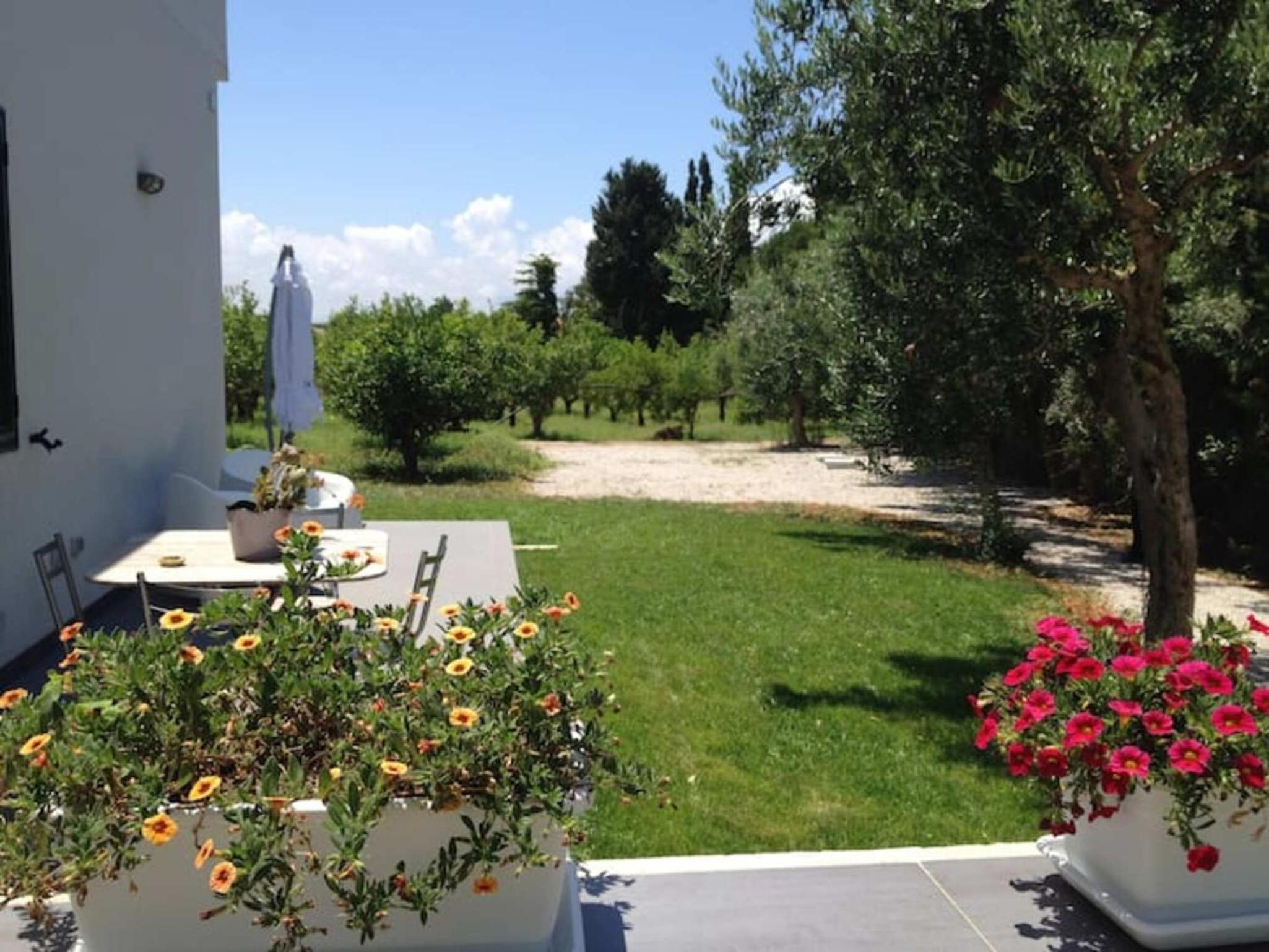 Chianurrè Arancio en Partinico — balance & terrace