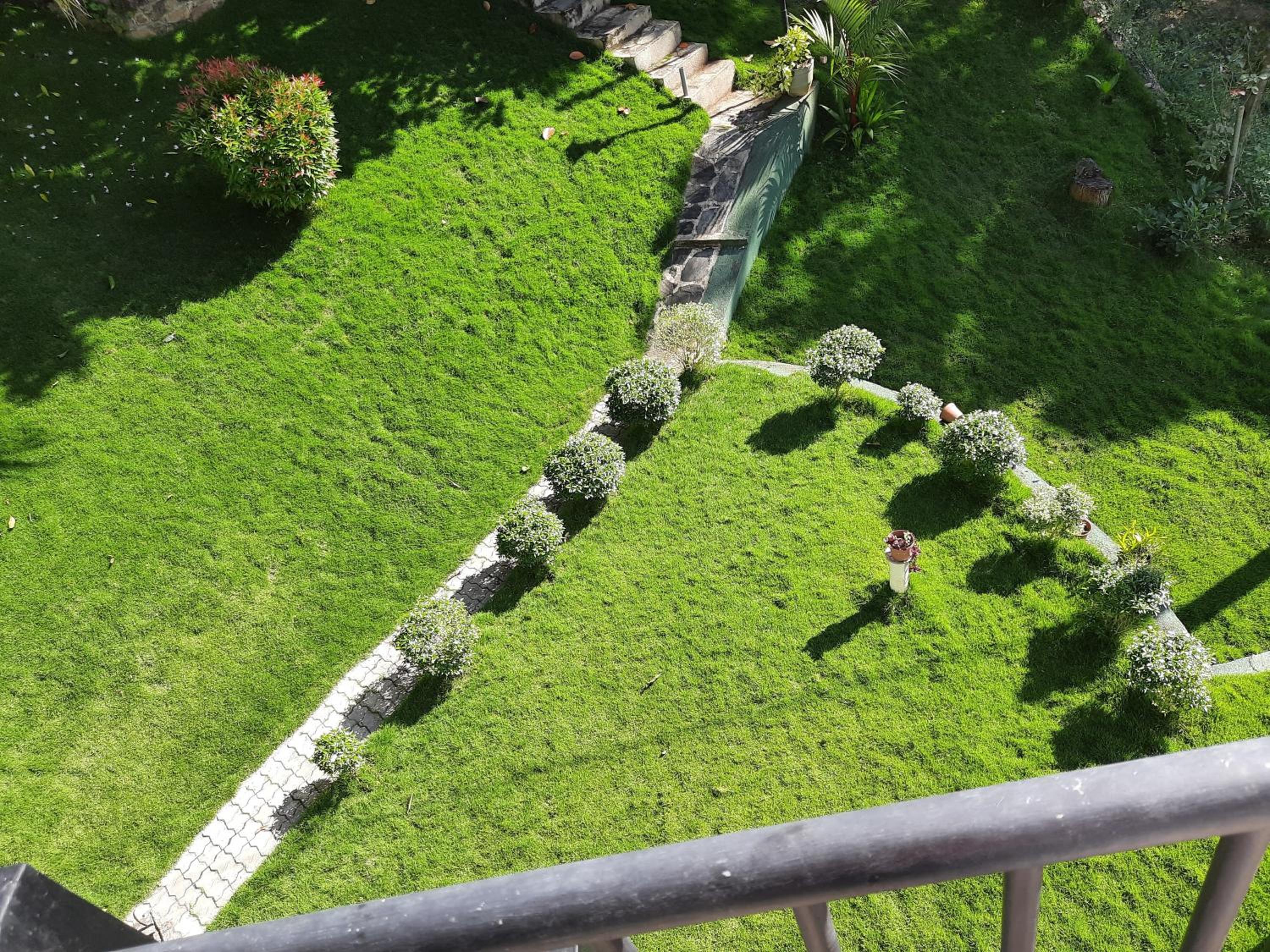 Blue Ridge Homestay view 2