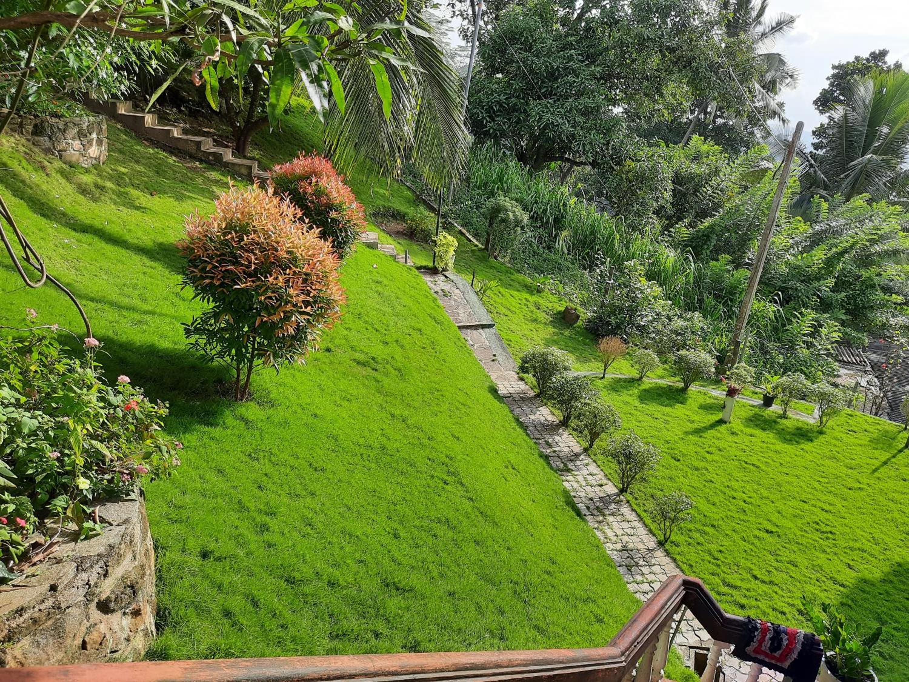 Blue Ridge Homestay view 3