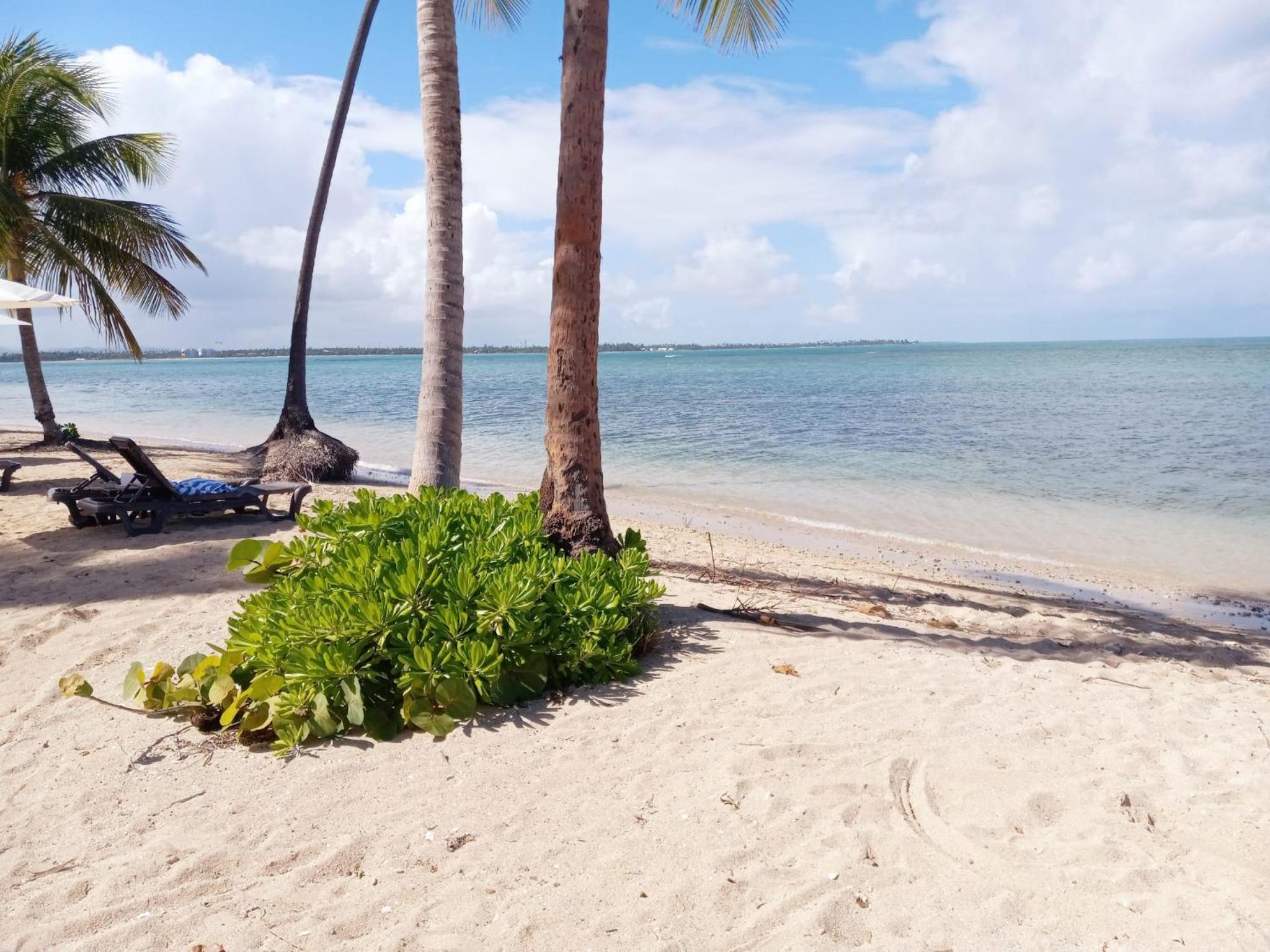 Hotel Luxury Resort Condo Hyatt Regency And Pga Golf