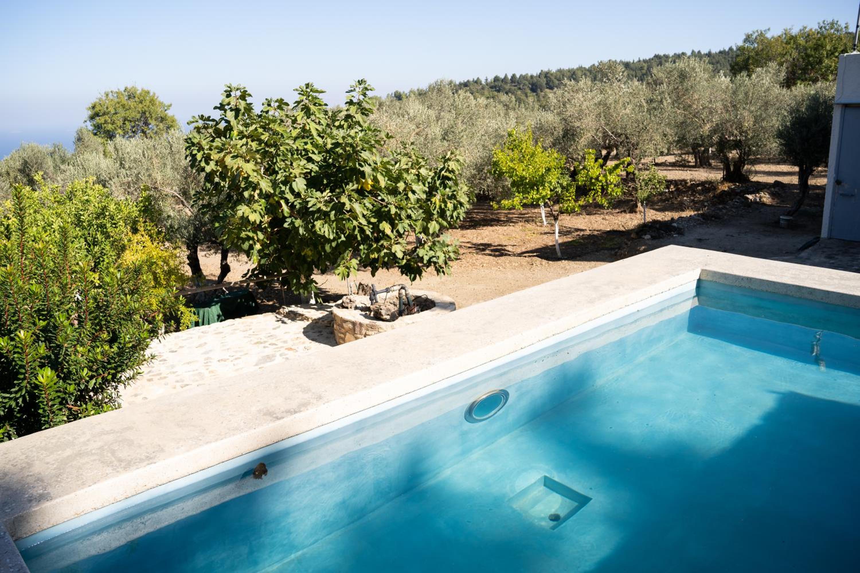 Chaihoutes stone villa into Olive farm in Zia