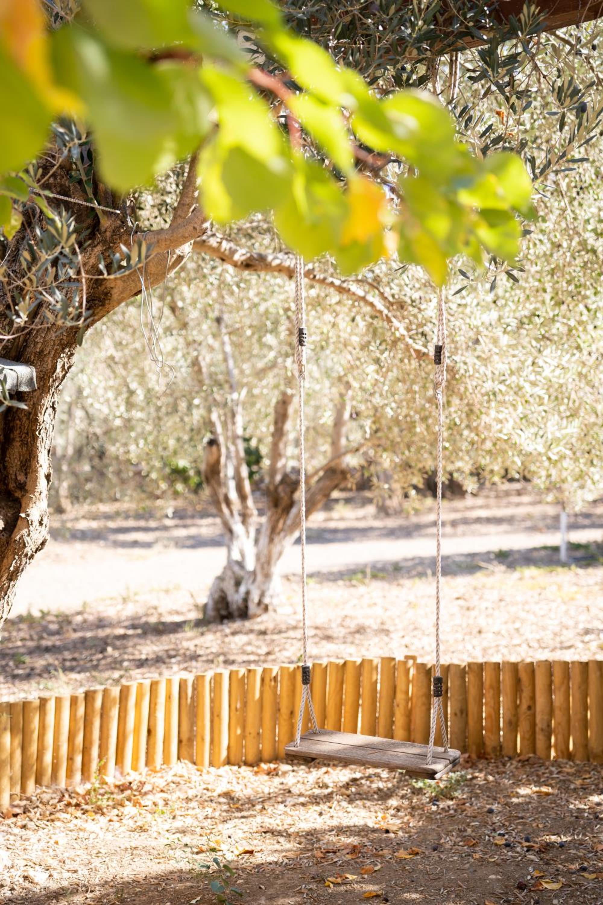 Chaihoutes stone villa into Olive farm in Zia