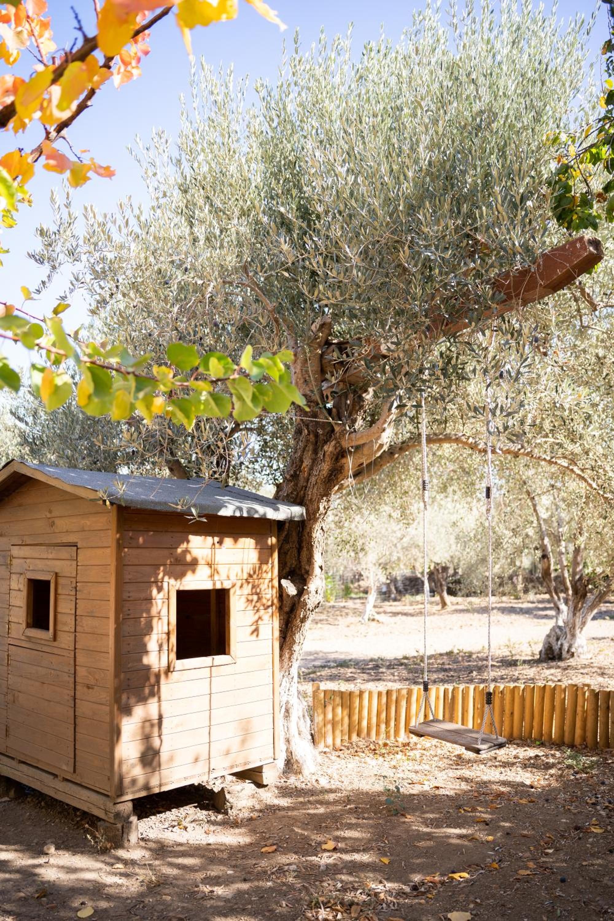 Chaihoutes stone villa into Olive farm in Zia