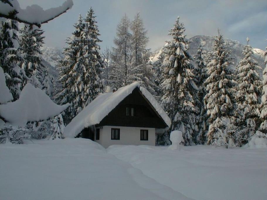 Apartment Lake Bohinj no. 5