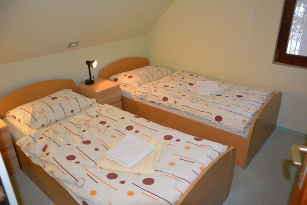 Apartment Lake Bohinj no. 5