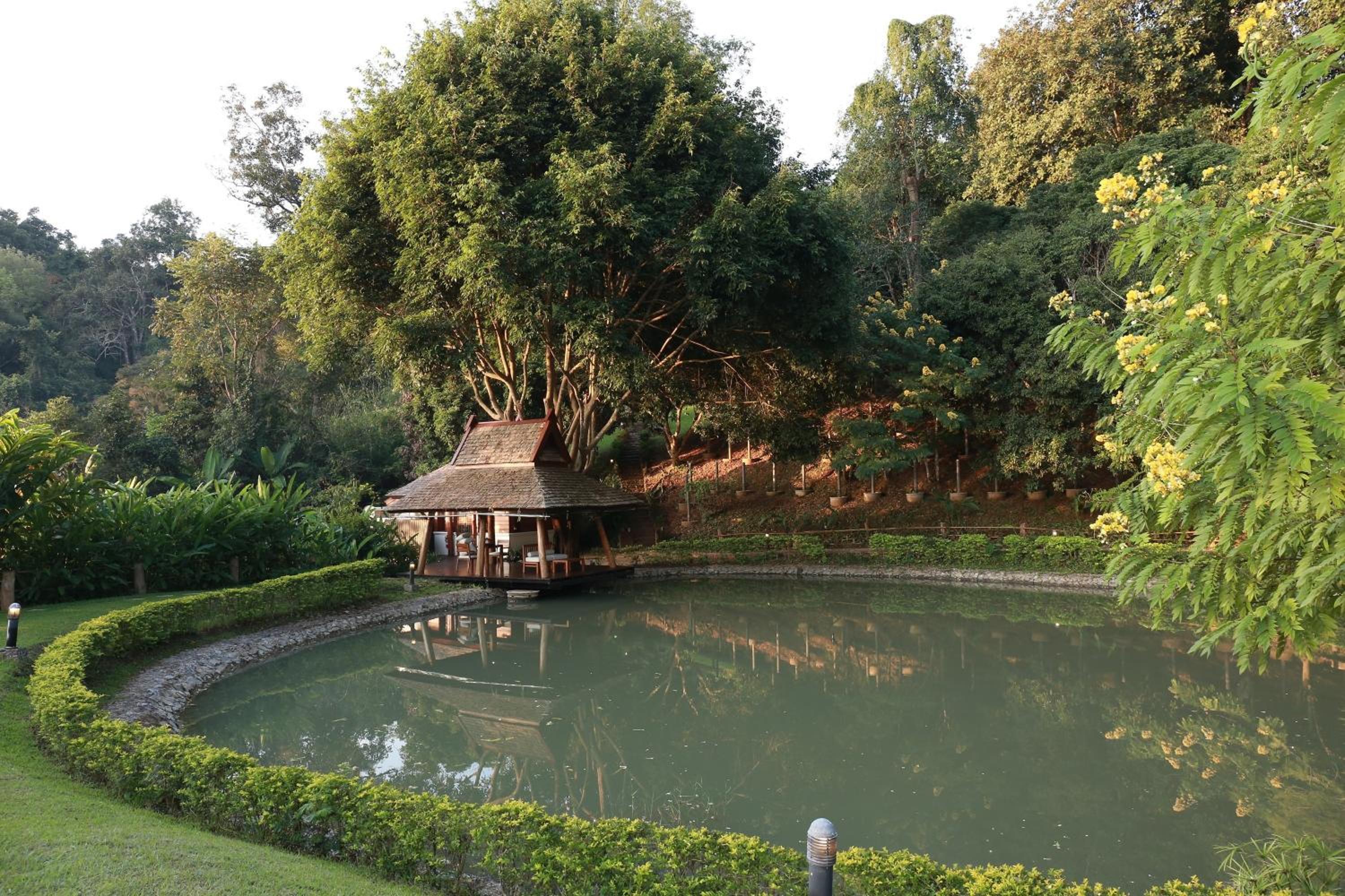 Vanilla hill (hill lodge)
