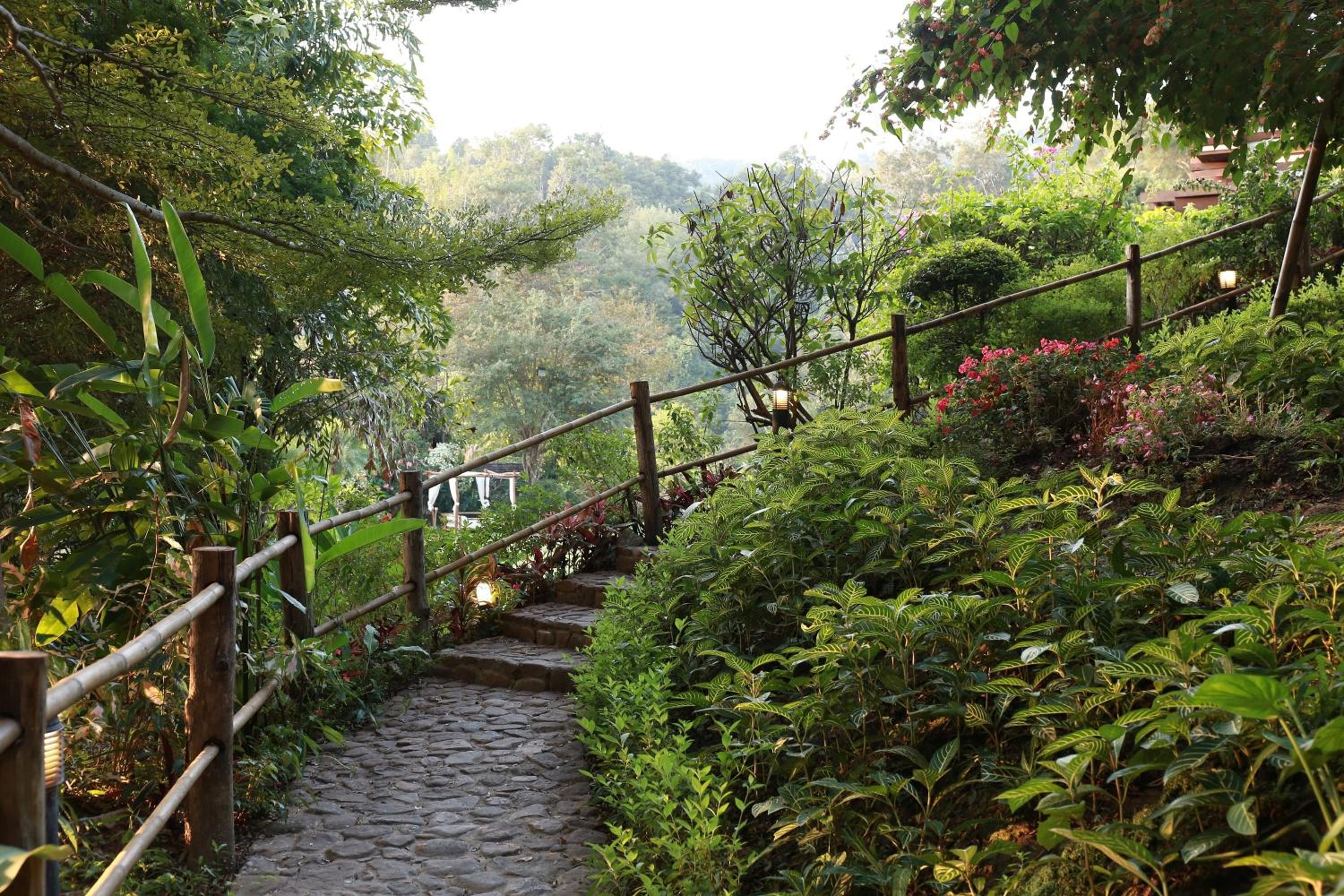 Vanilla hill (hill lodge)