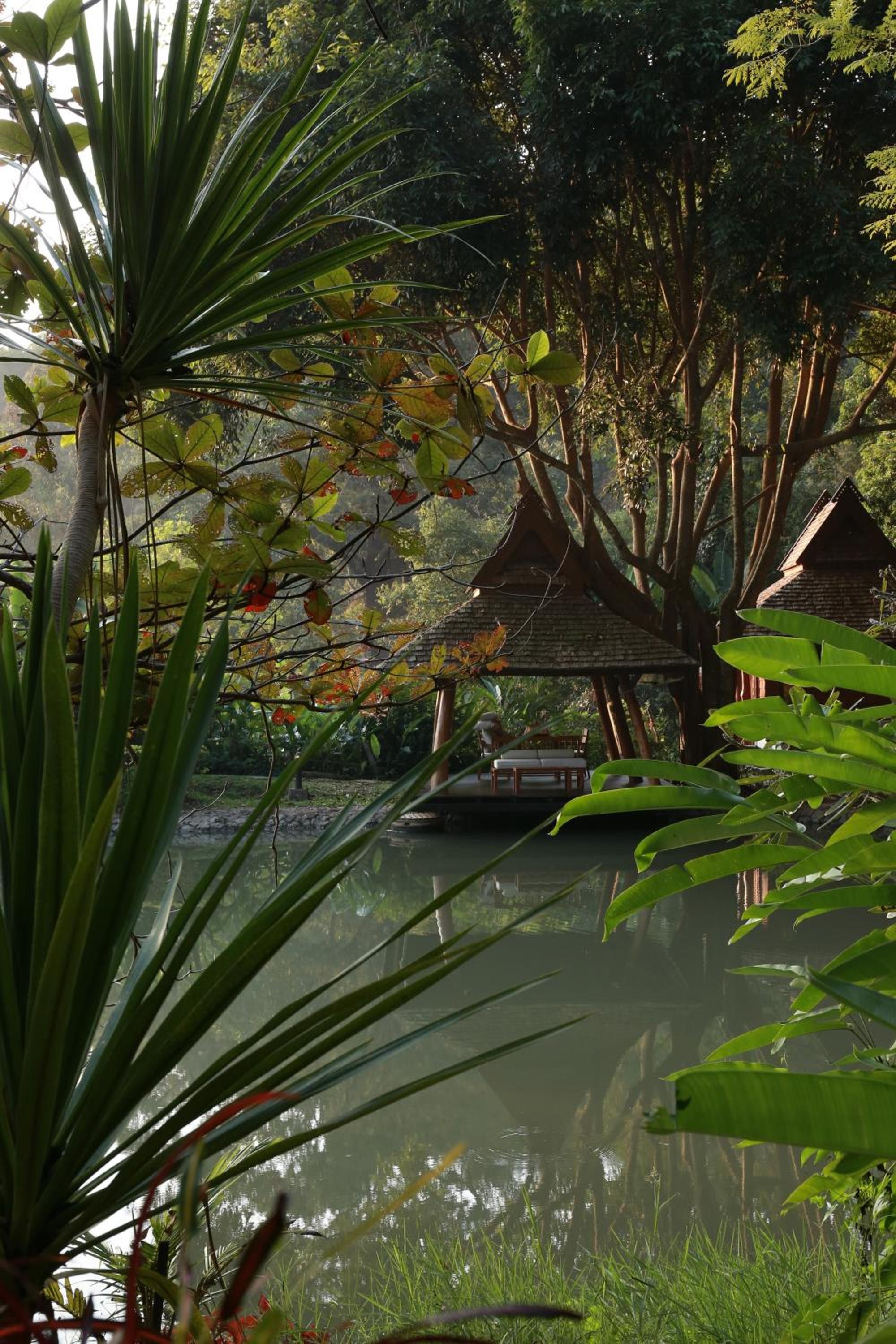 Vanilla hill (hill lodge)