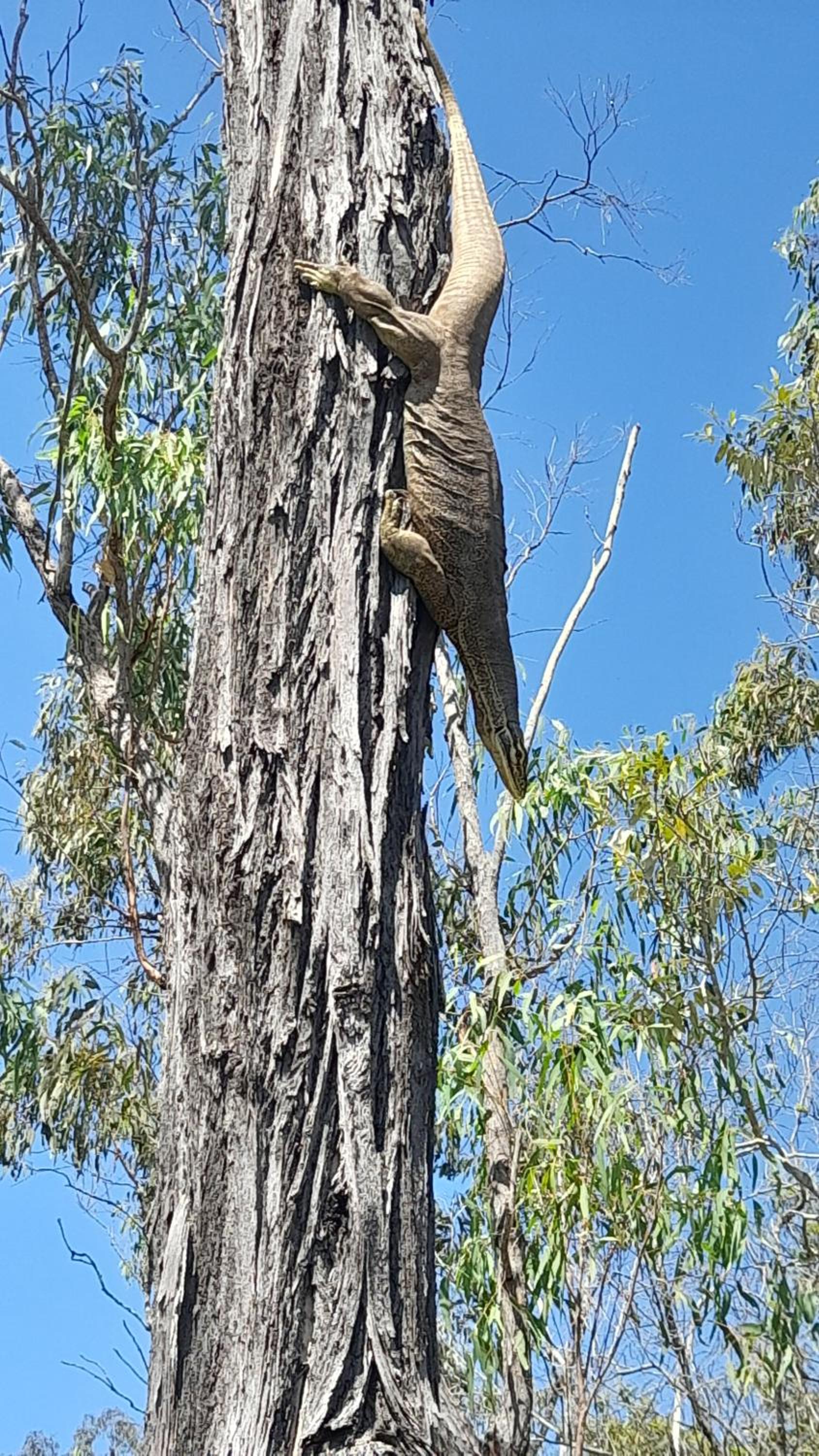 Cherry Mango Guesthouse - Property Image 13