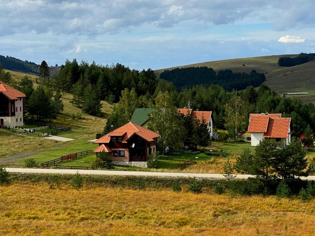 Photo 50