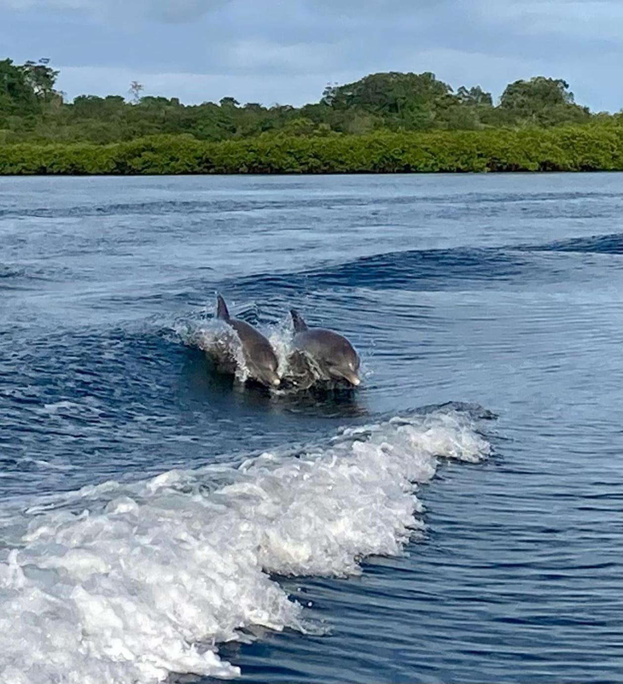 Dolphin Bay Hideaway