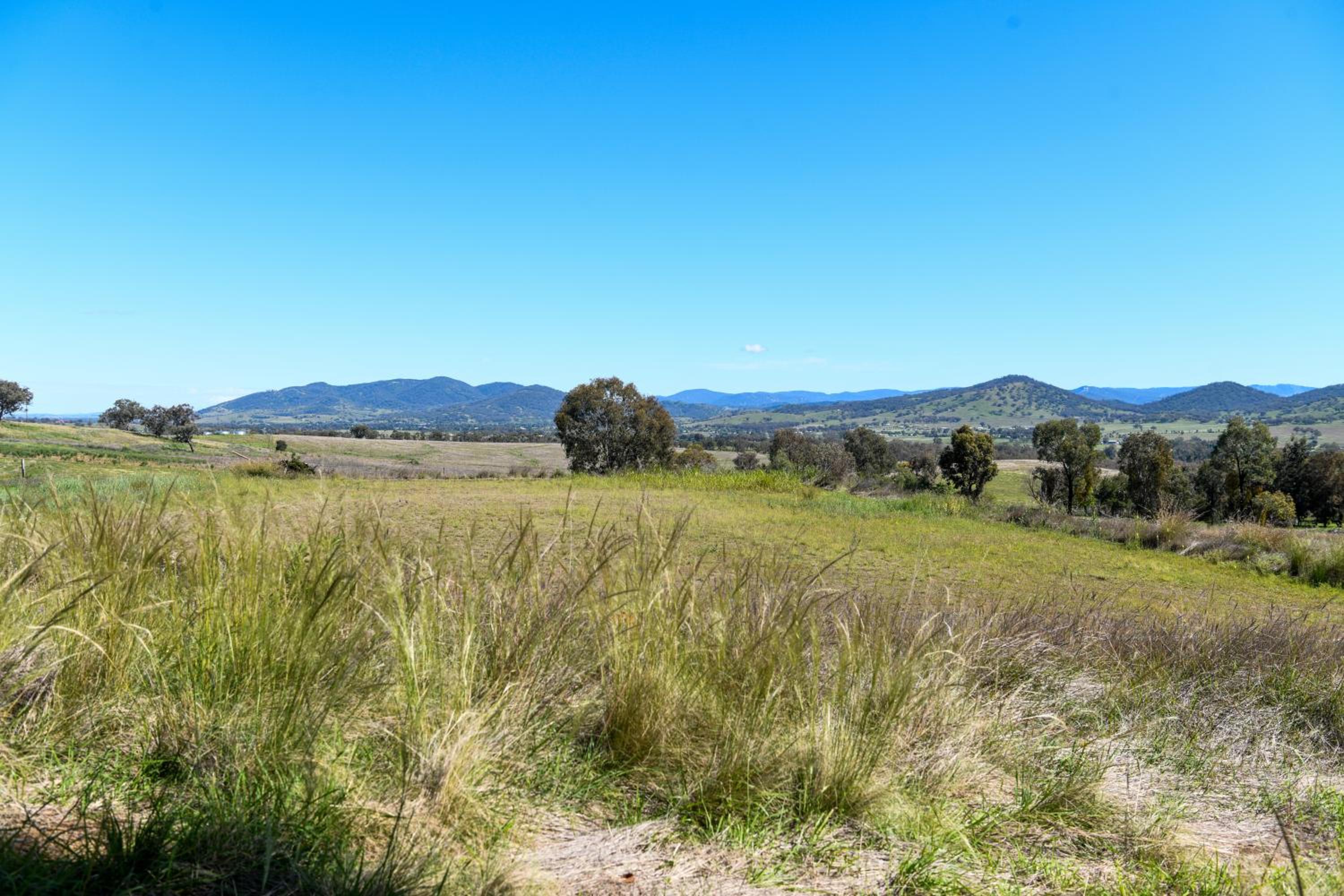 Tamworth Country Escape with a beautiful swimming pool!