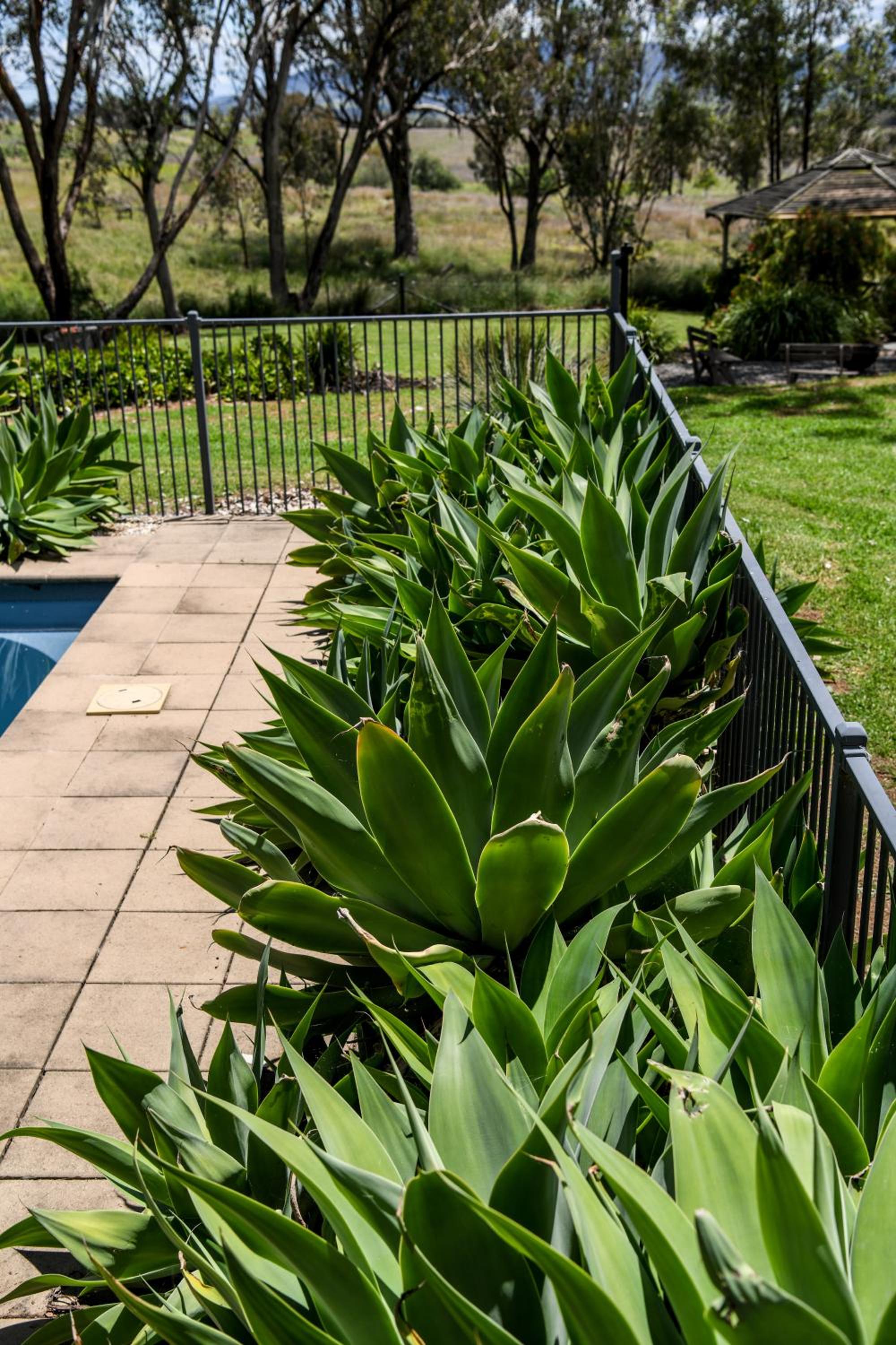 Tamworth Country Escape with a beautiful swimming pool!