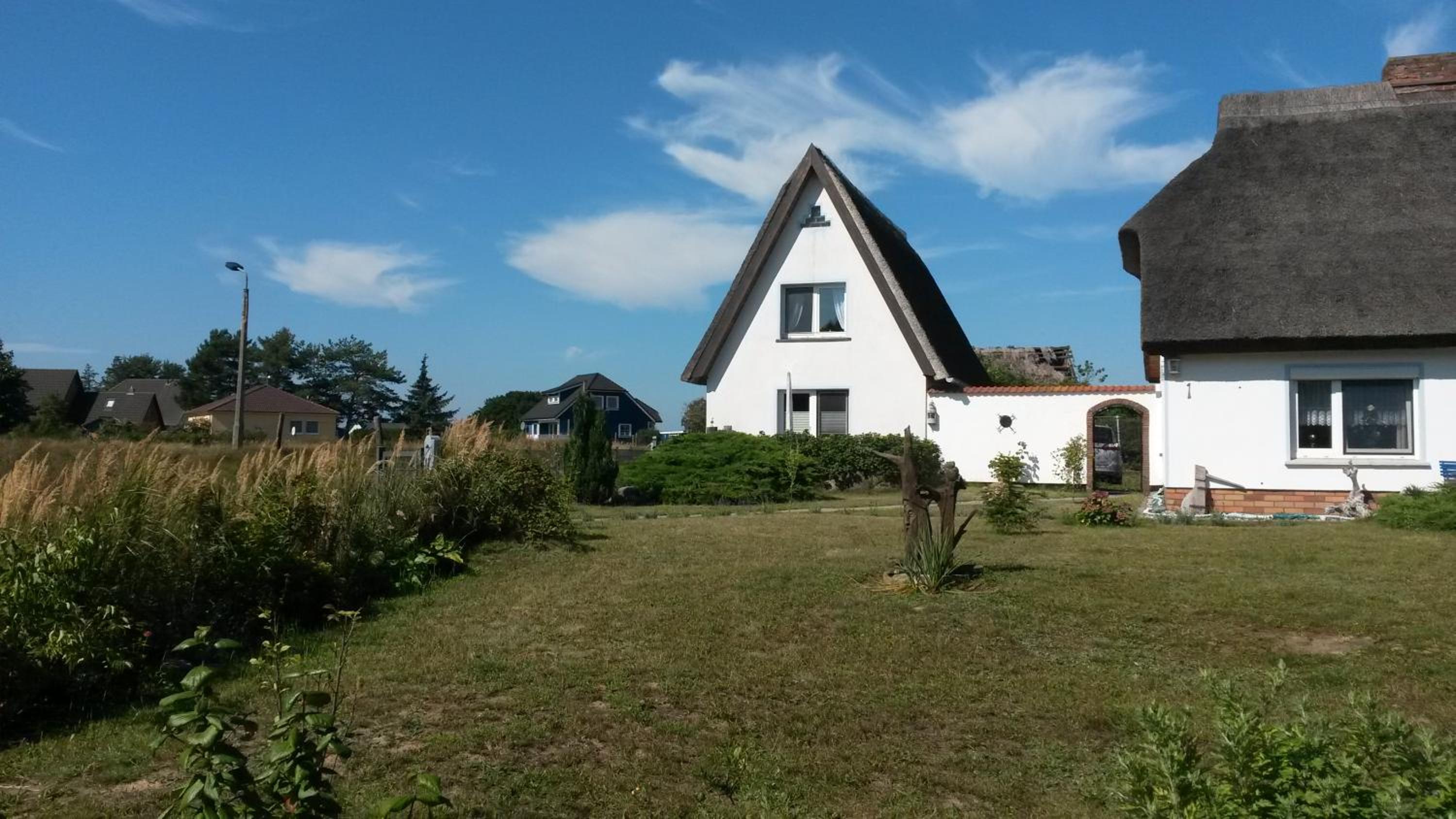 Hagebutte
