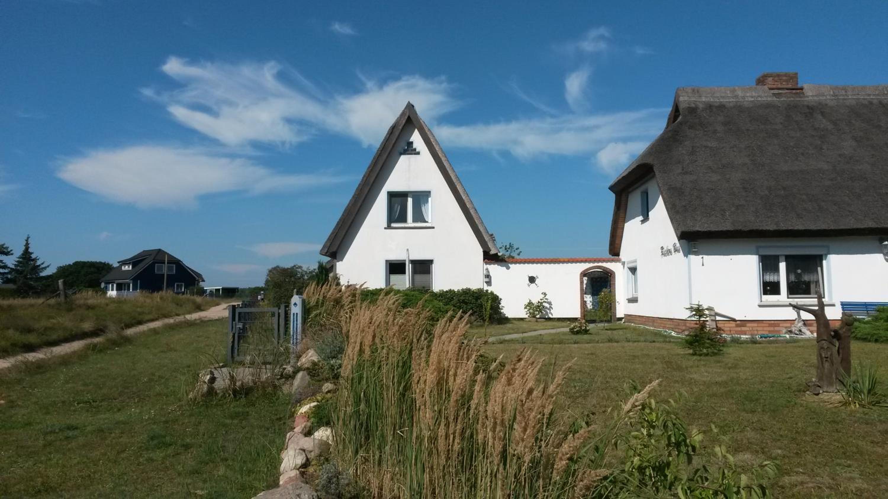 Hagebutte