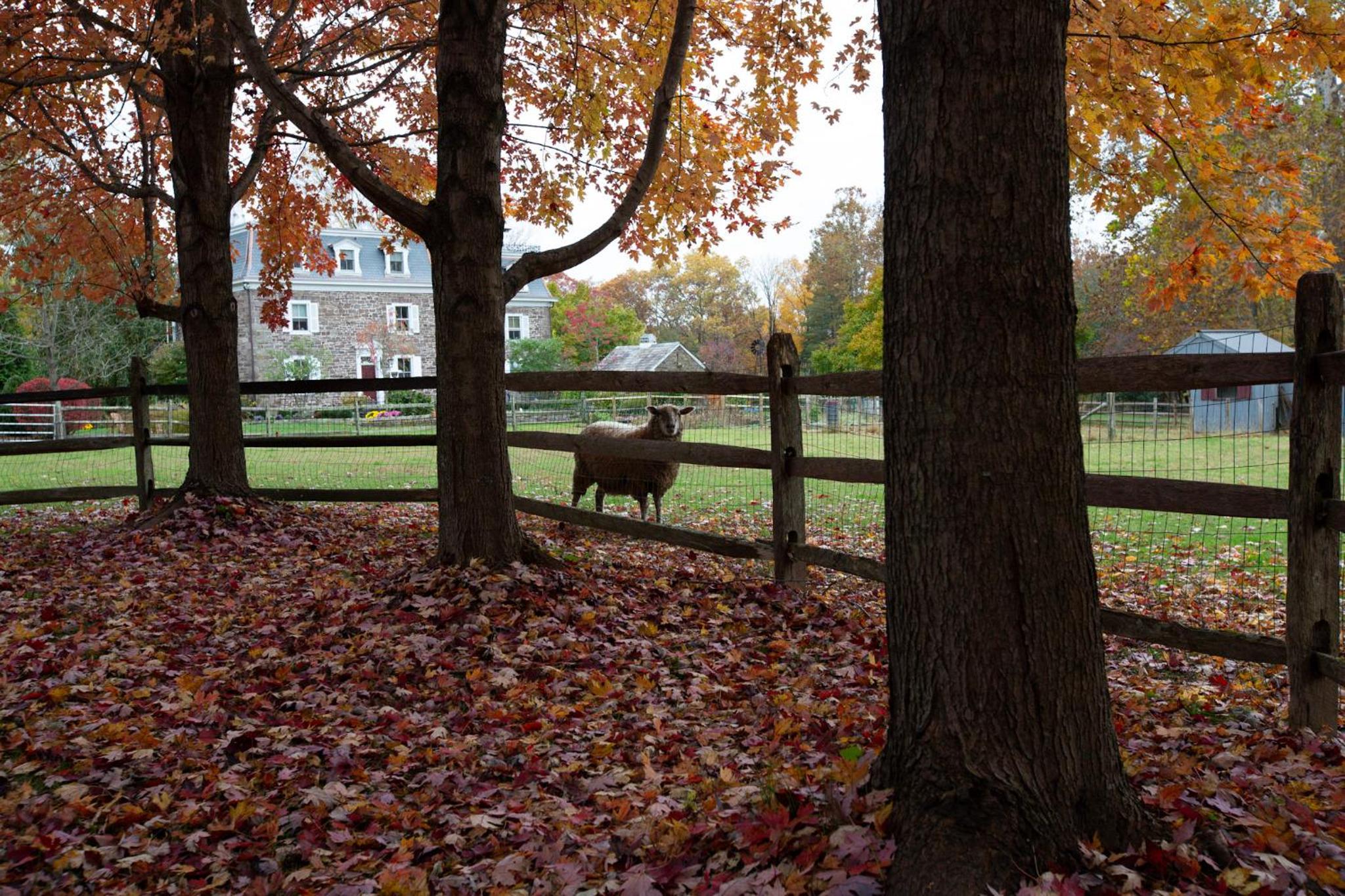 Woolverton Inn