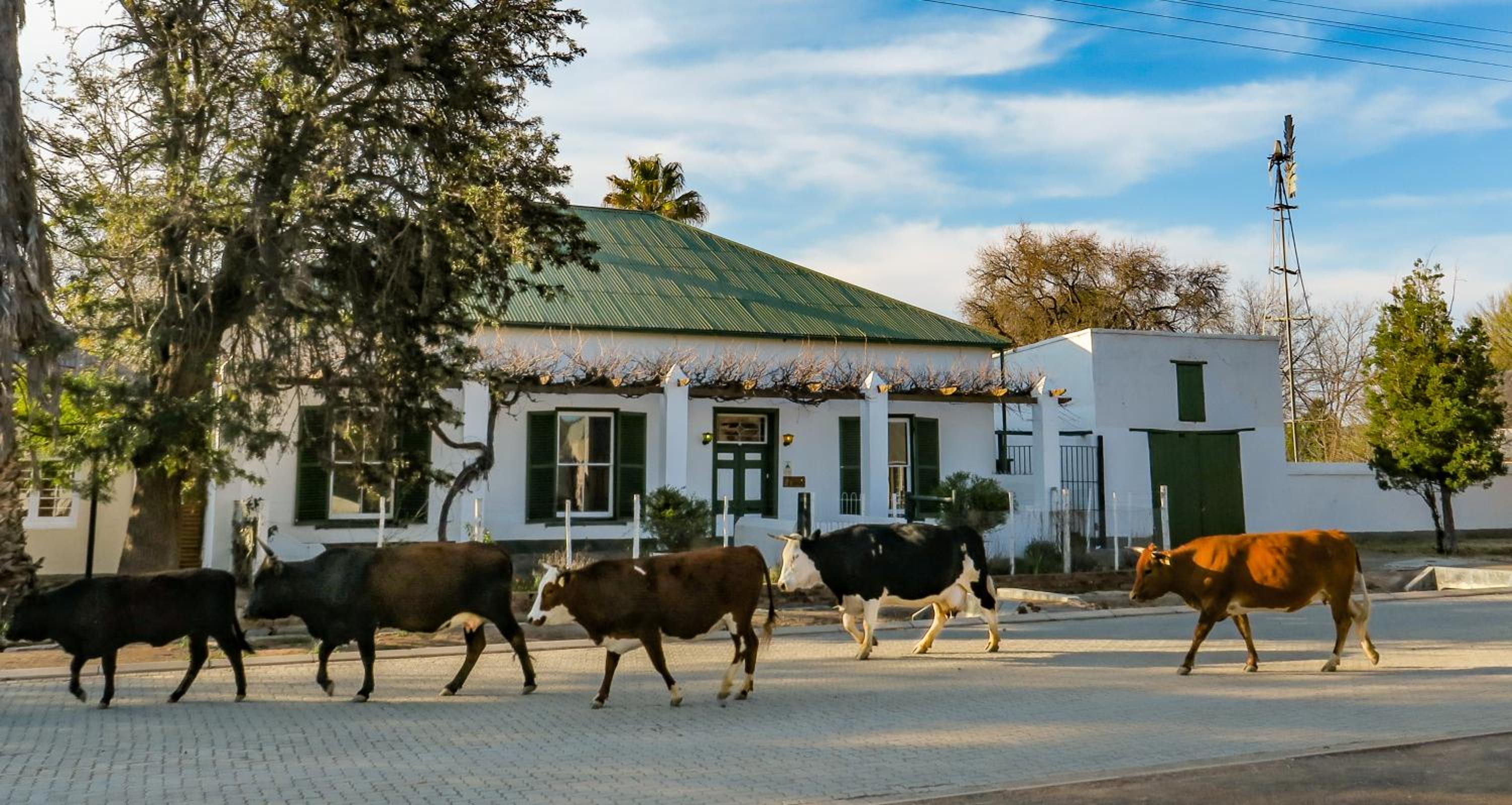 Colonial Karoo Guesthouse
