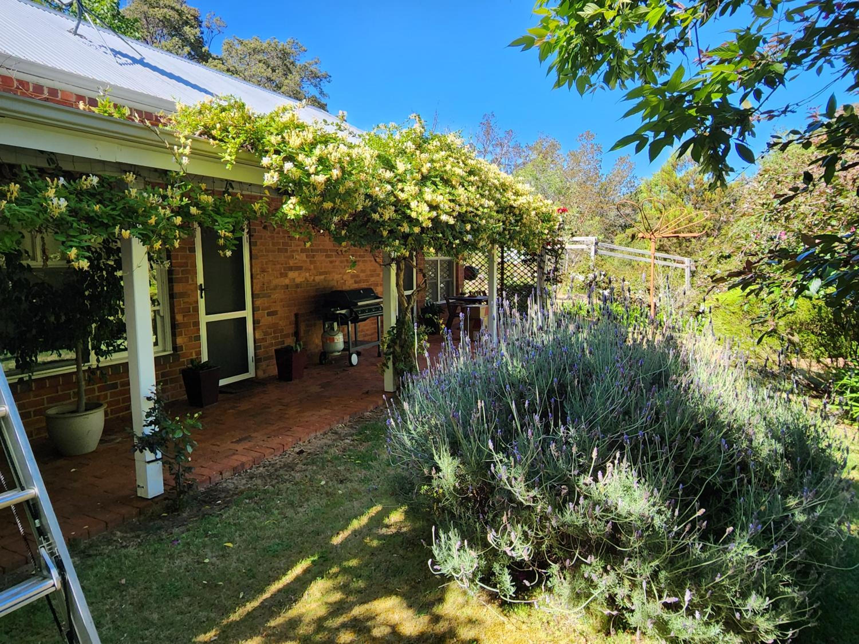 Duffys Cottage
