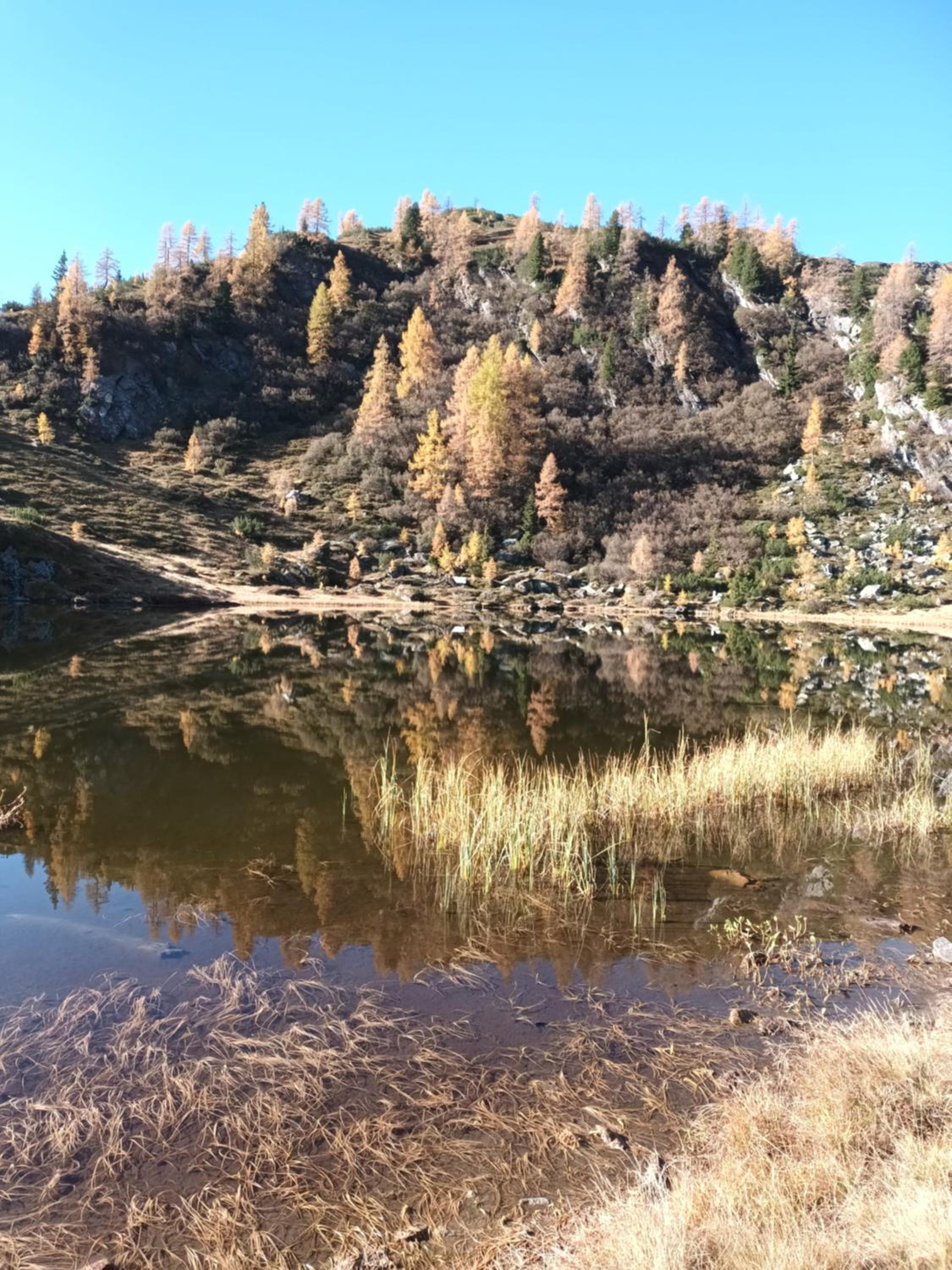 Himmlisch Urlauben in Pichl