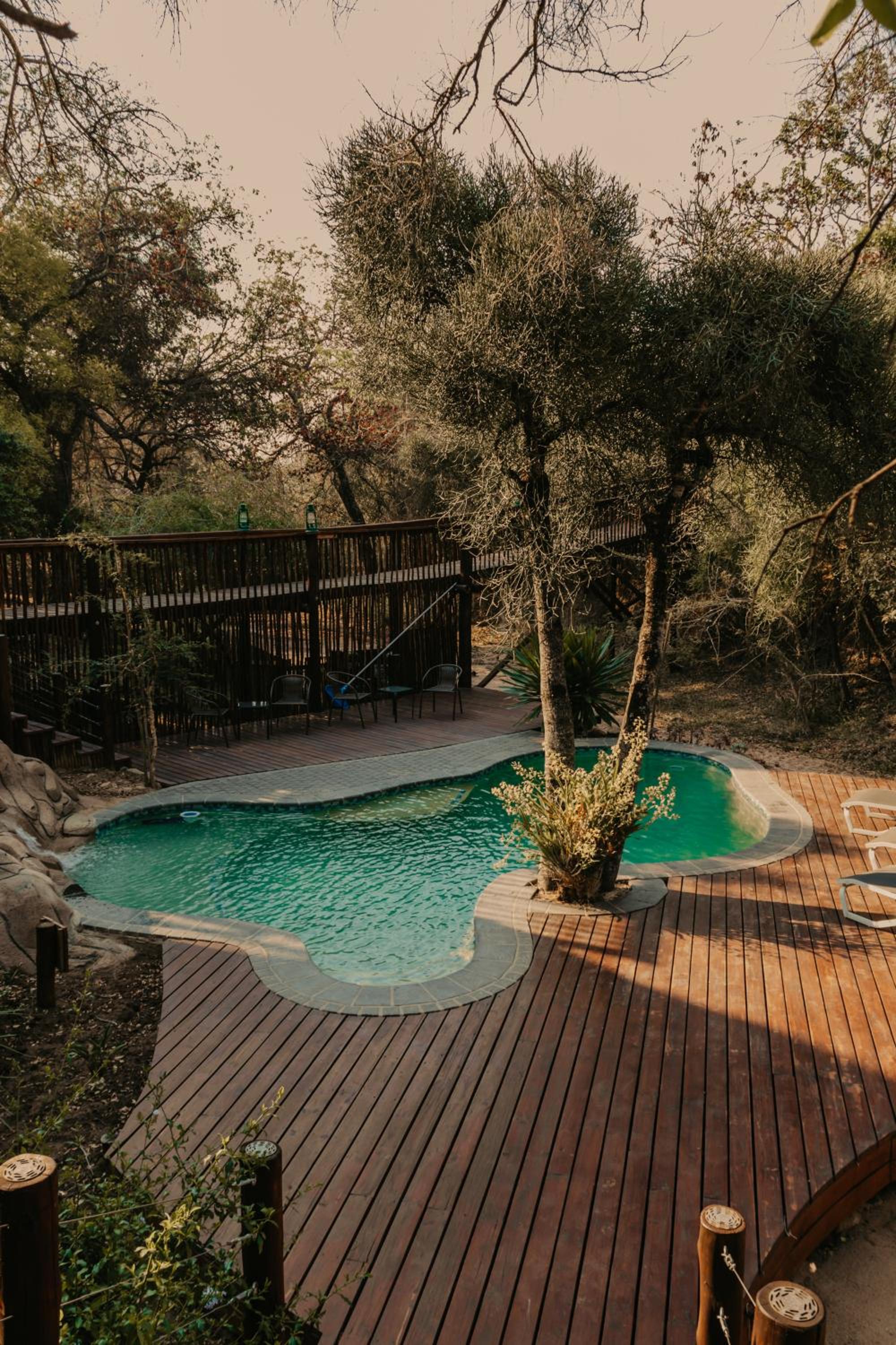 Panzi Lodge