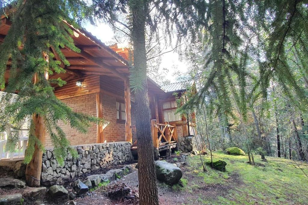 Cabaña Ciprés entre Bosques y Arroyo