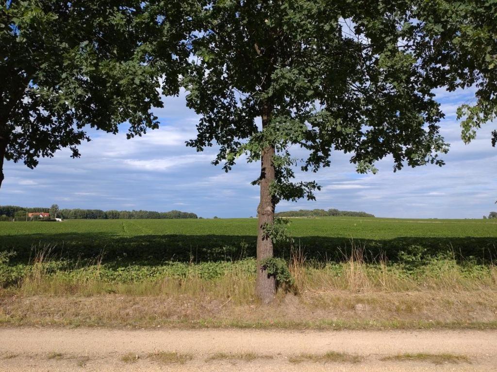 FeWo Wolfseiche