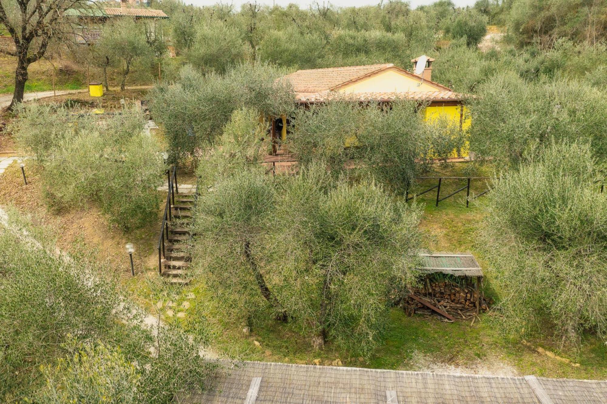 La Casina, private villa with A/C in Val di Chiana view 5