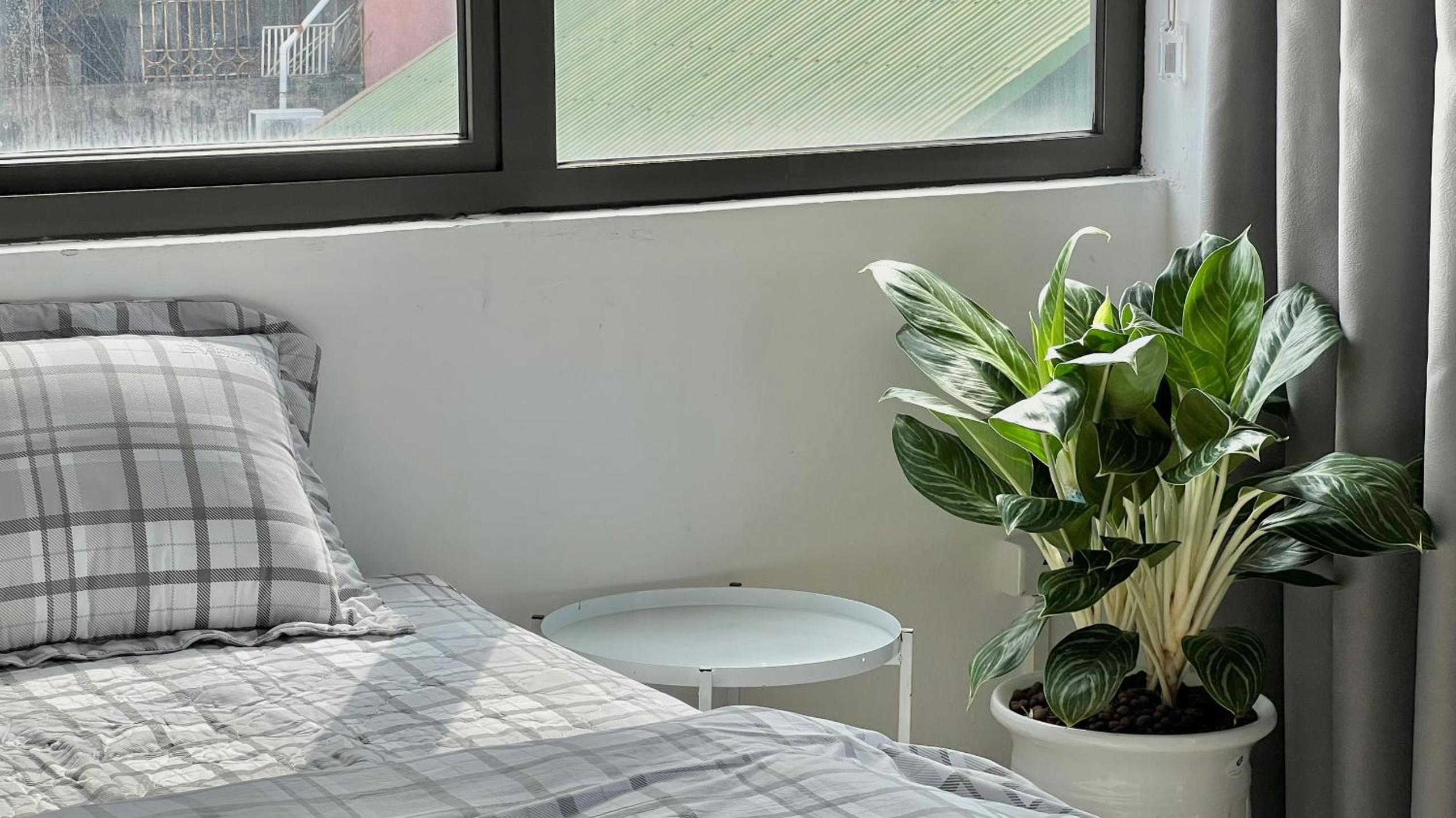 The Hive Homestay