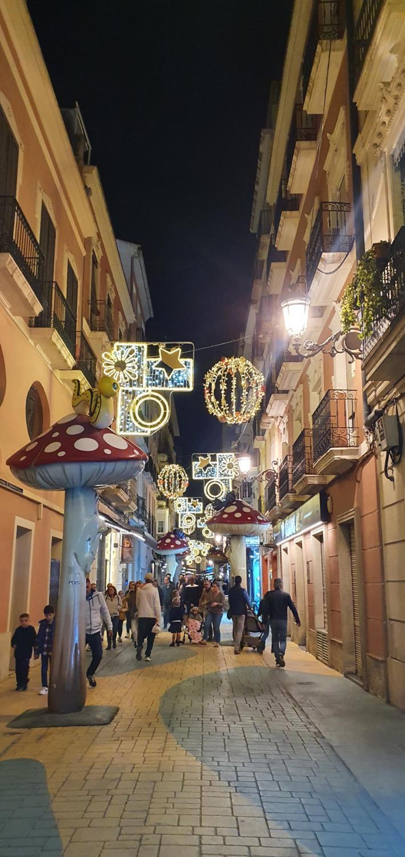 Vivienda turistica Rafael Terol