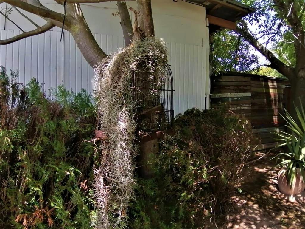 Photo 46