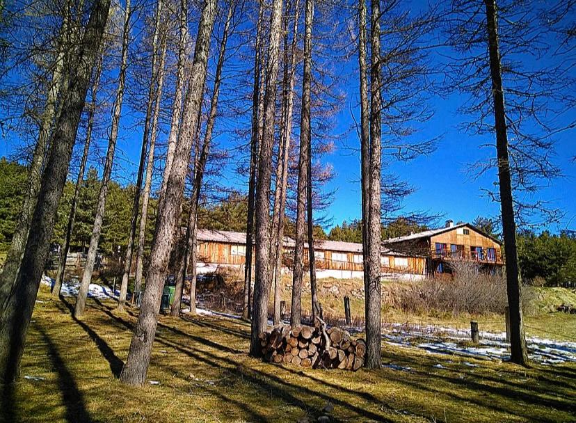 Photo 18