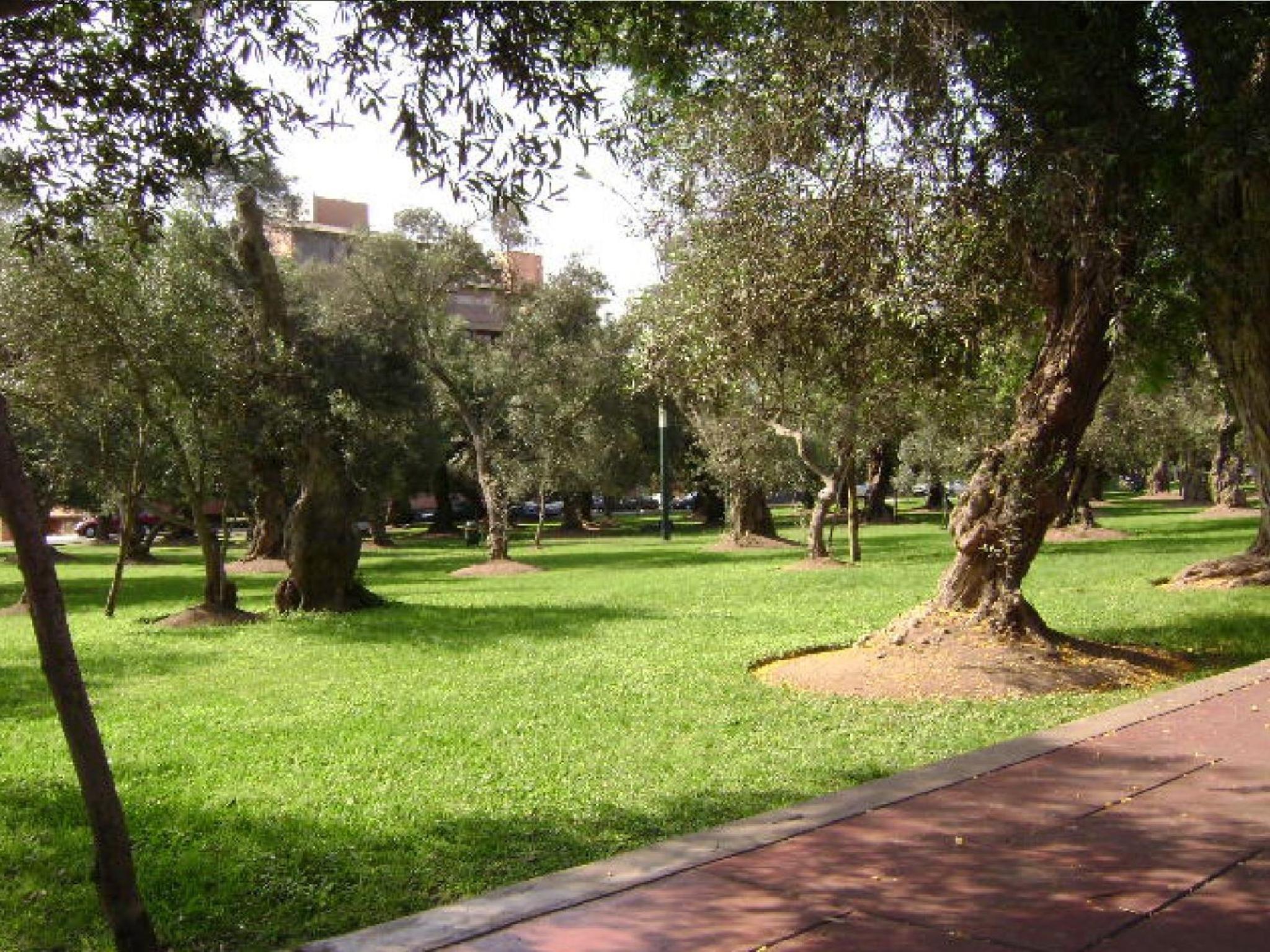 B&B El Olivar