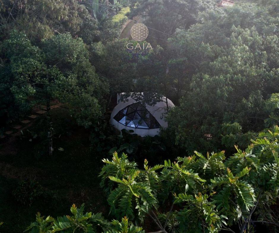 Gaia Origen Ecohotel - Centro de Bienestar Holístico view 4