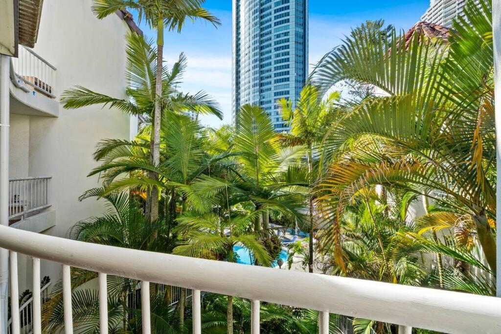 Coco Bella Dream in Surfers Paradise
