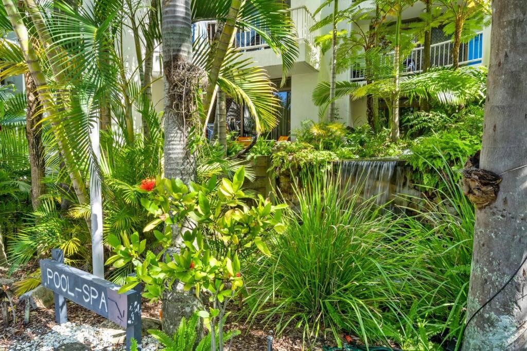 Coco Bella Dream in Surfers Paradise