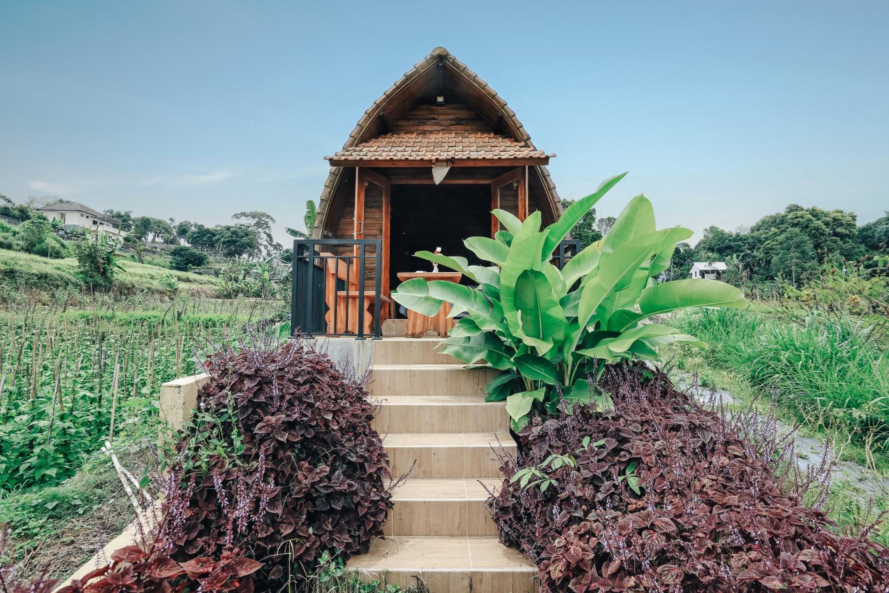 Tunjung Sari Villa Bedugul view 4