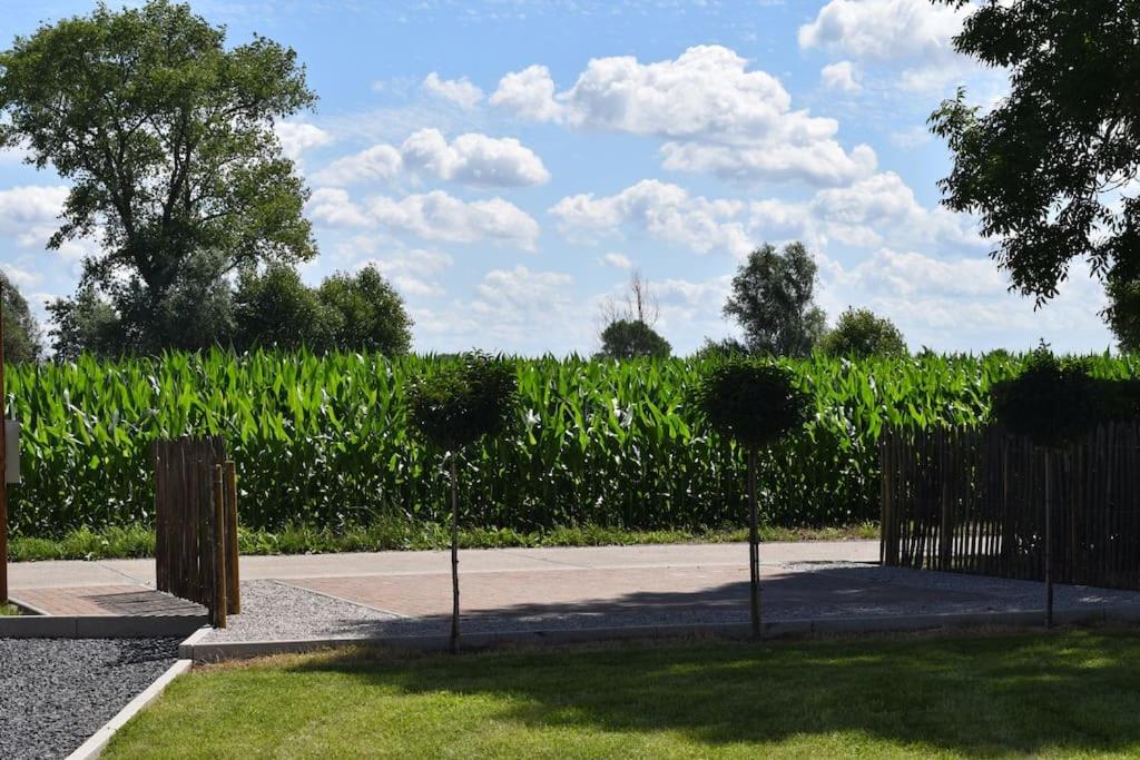 Cosy Cott, een verborgen logeerplek in het landelijke Poeke.