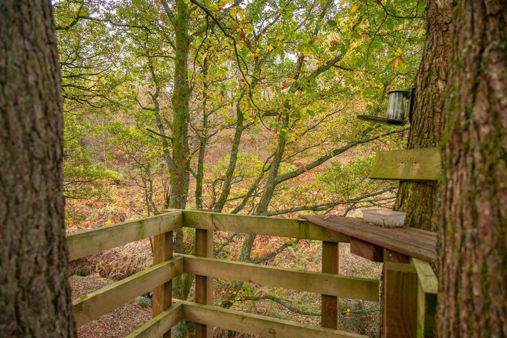 Bilberry Bank Cottage