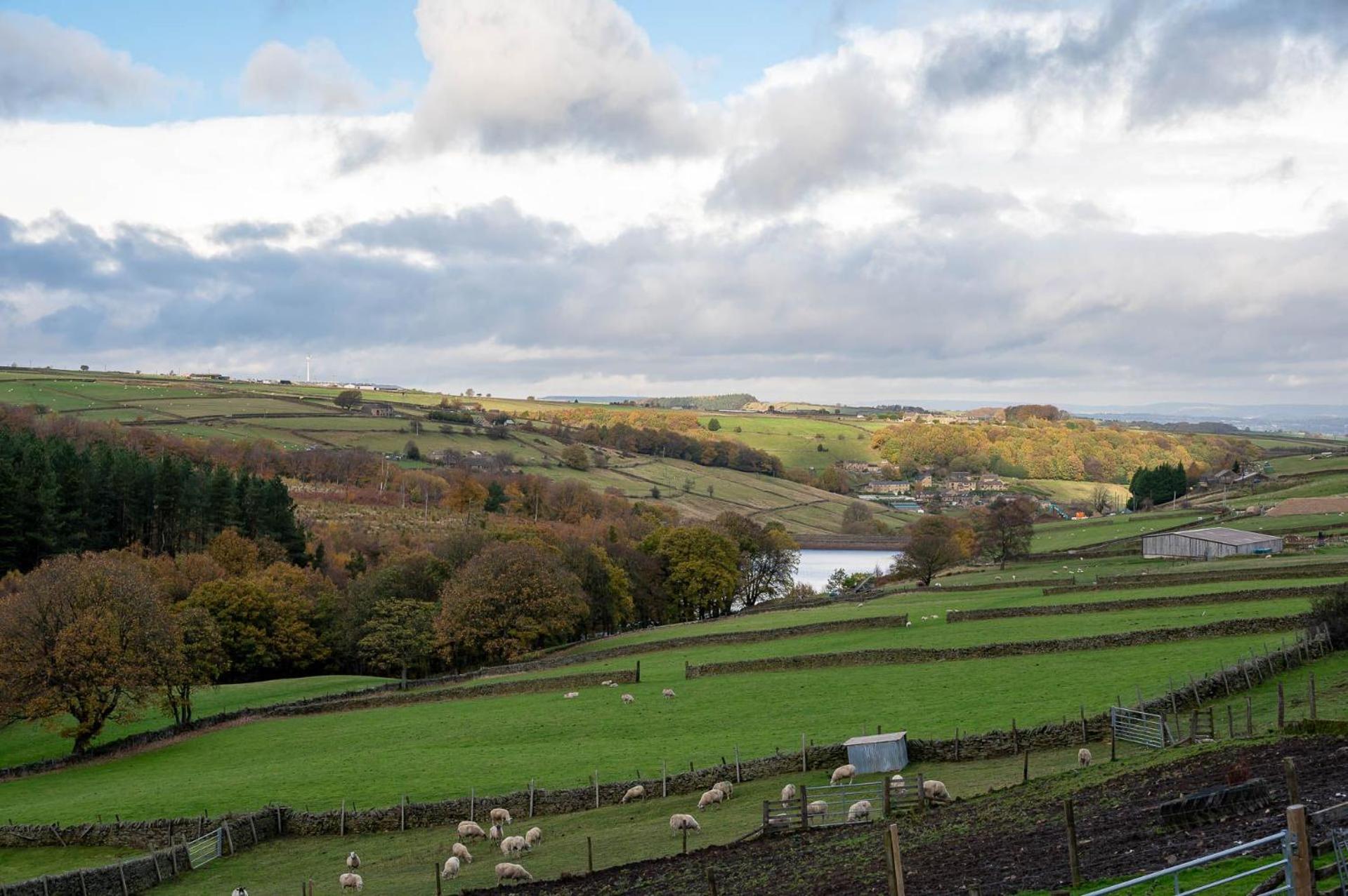 Bilberry Bank Cottage