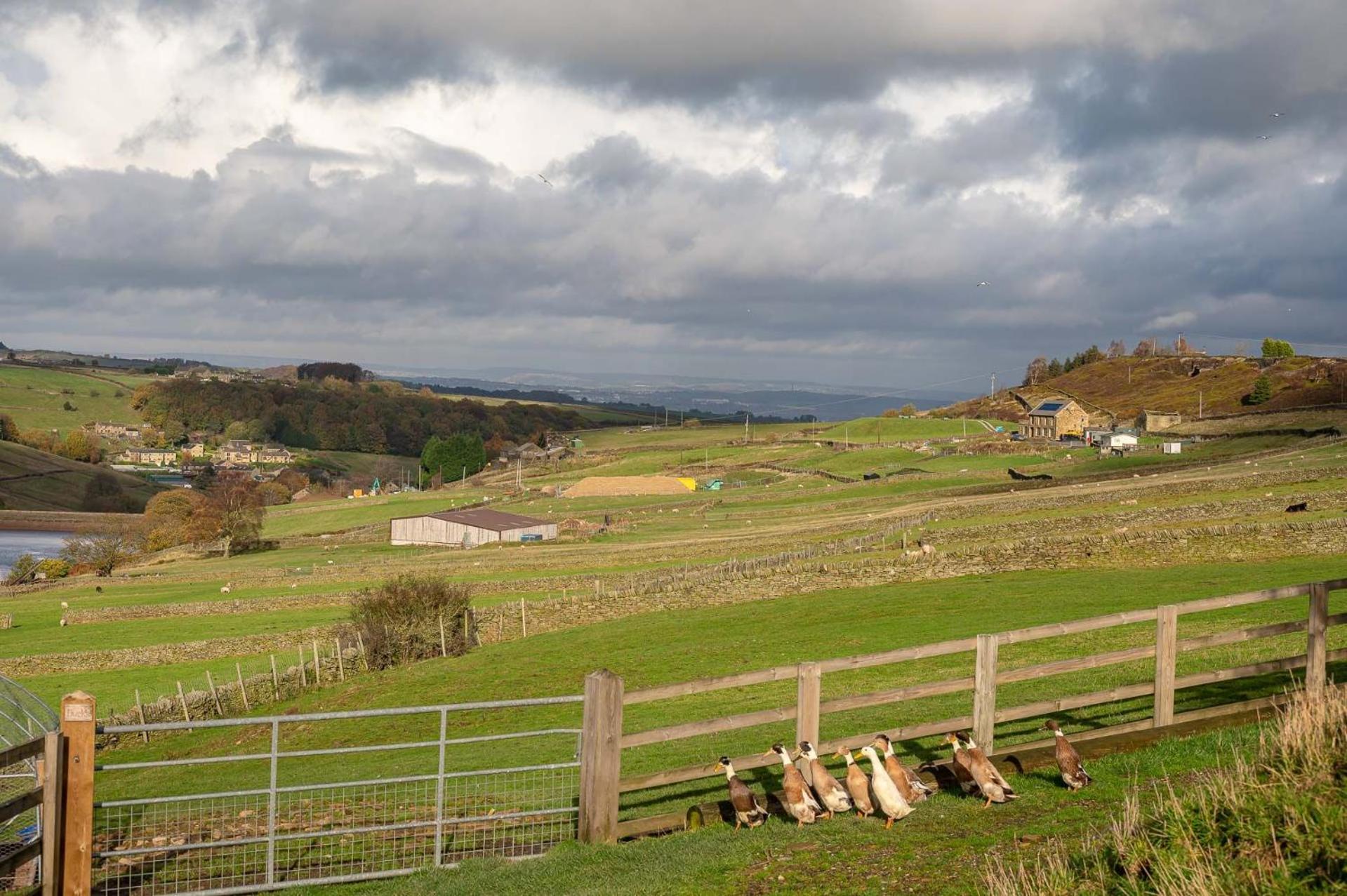 Bilberry Bank Cottage