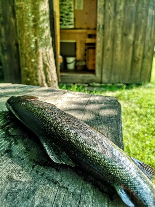 Apartmány Červený Dvůr