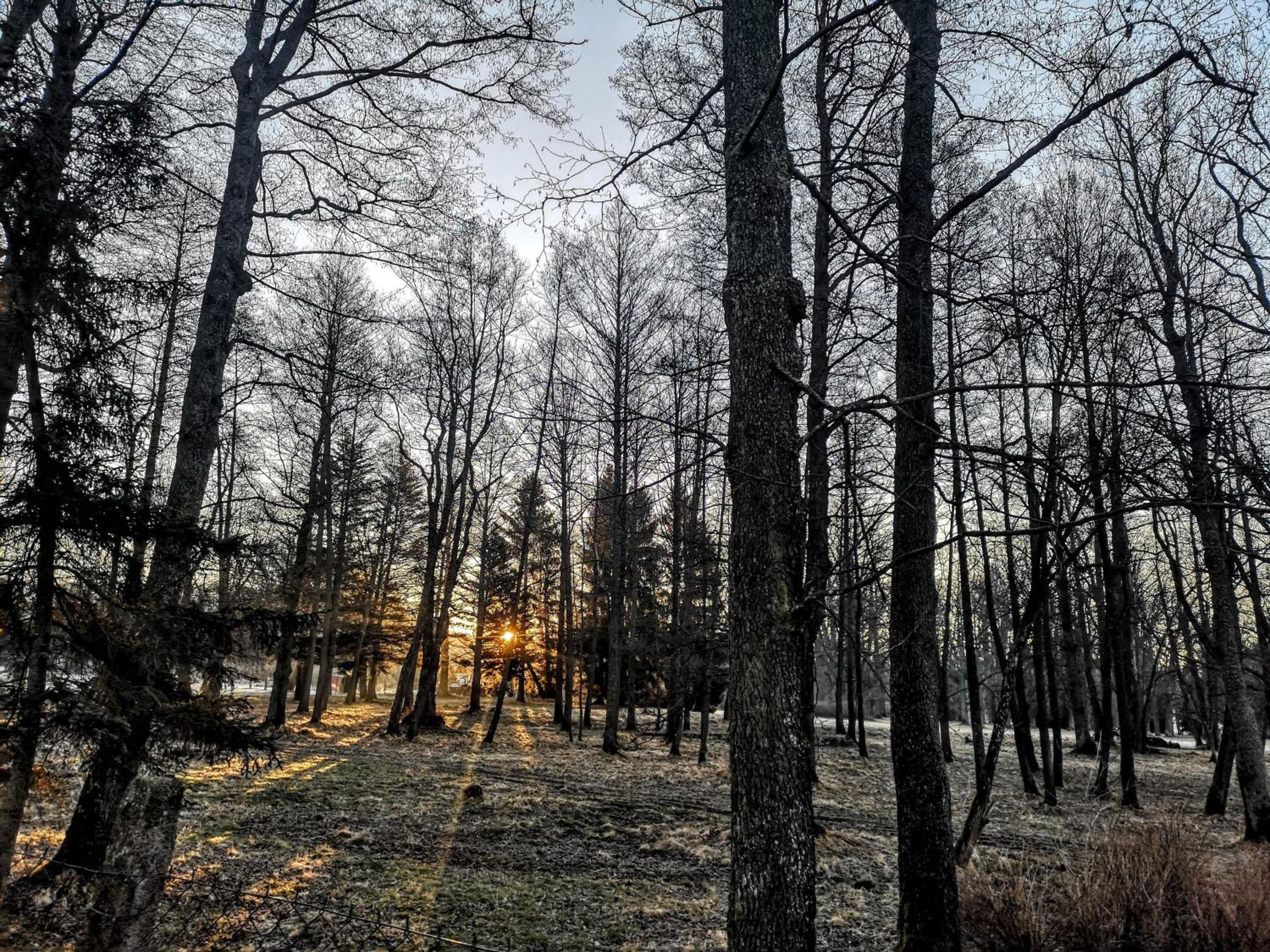 Apartmány Červený Dvůr