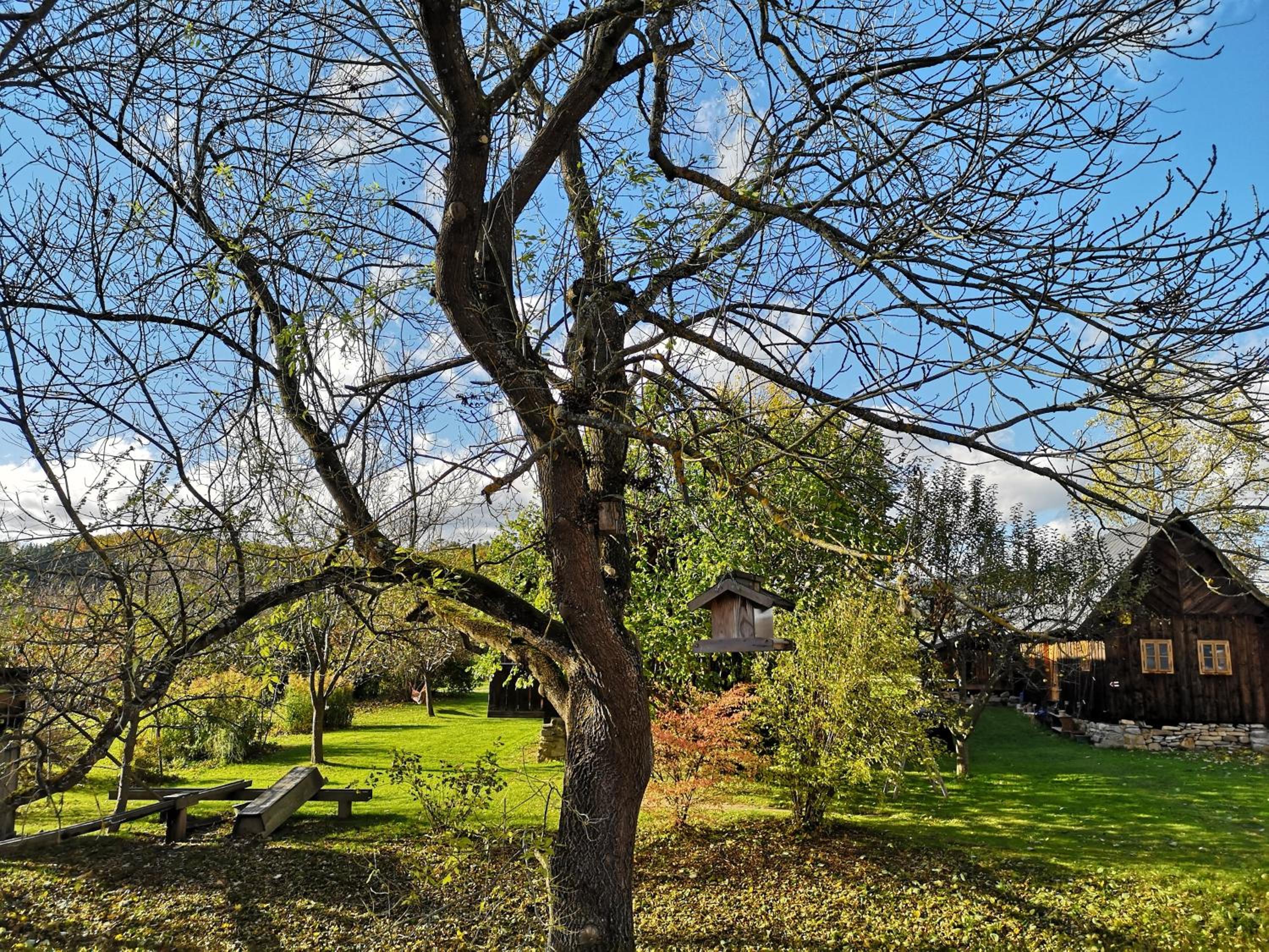 Apartmány Červený Dvůr