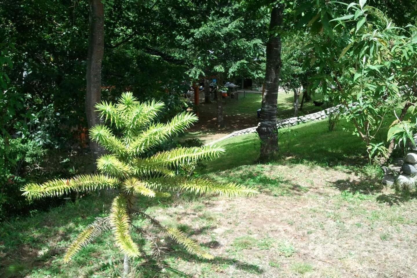 Orillas del Coilaco