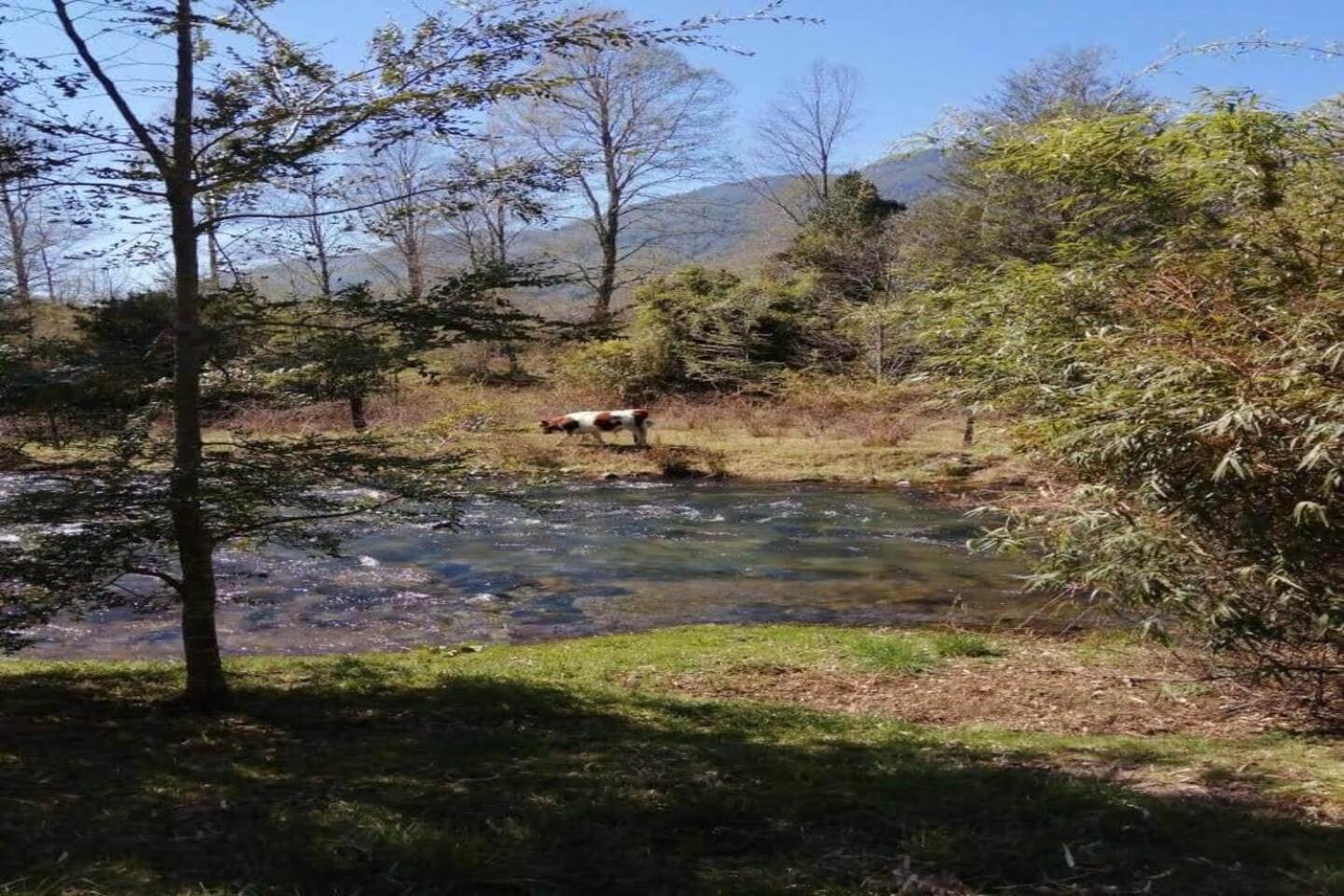 Orillas del Coilaco