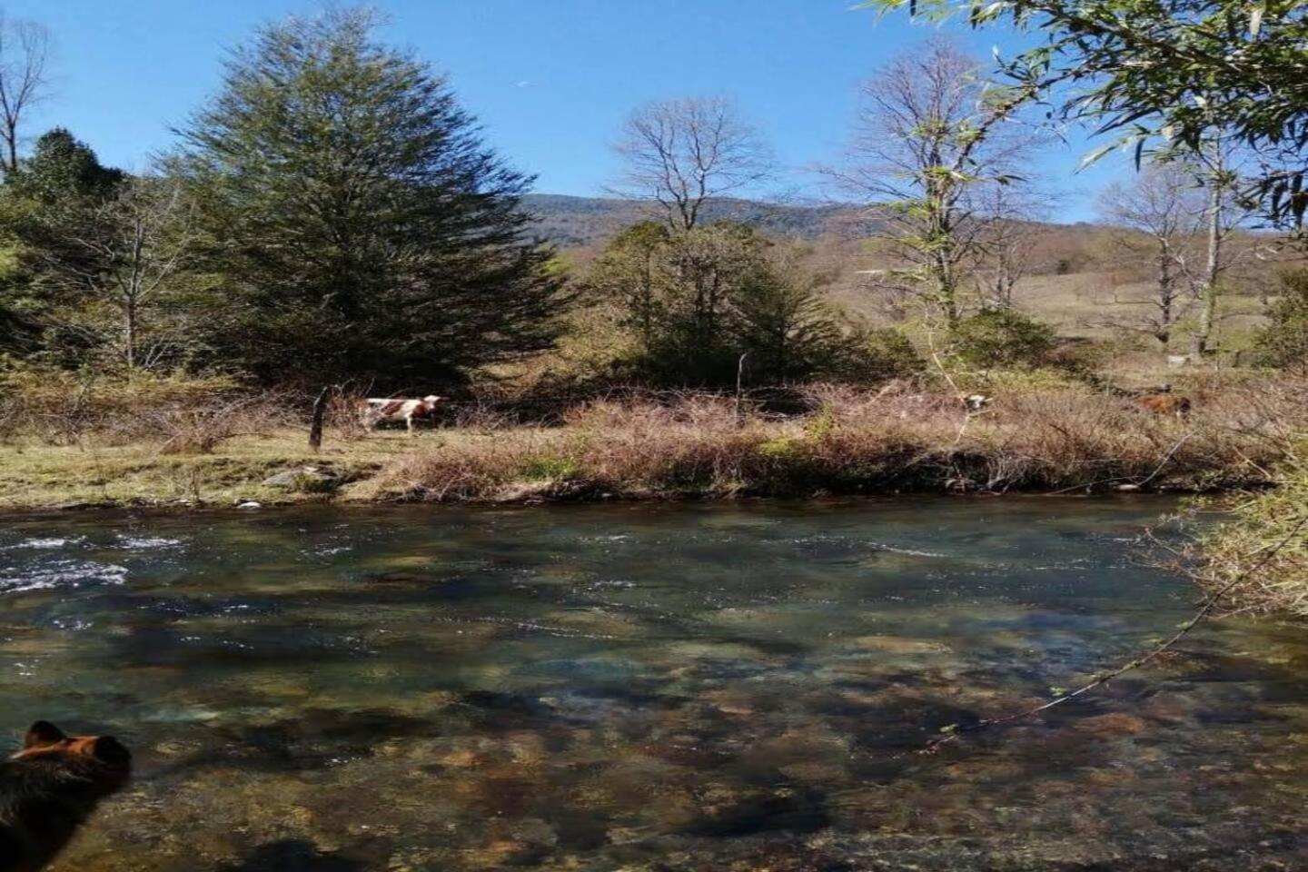Orillas del Coilaco