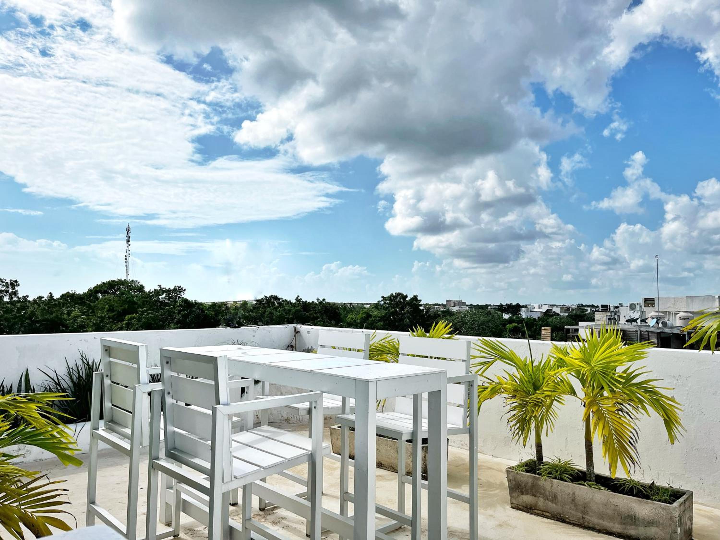roof