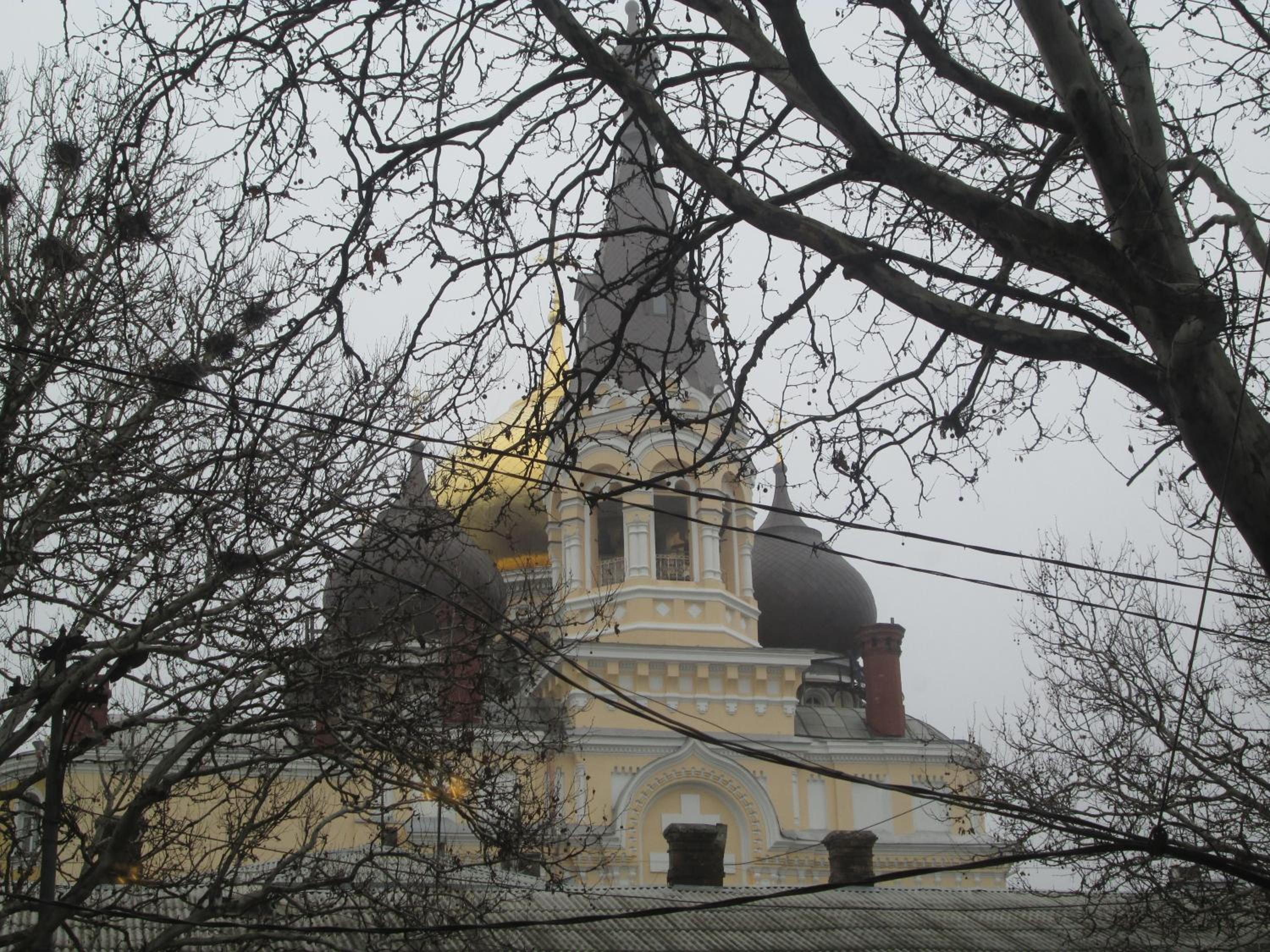 Photo 31