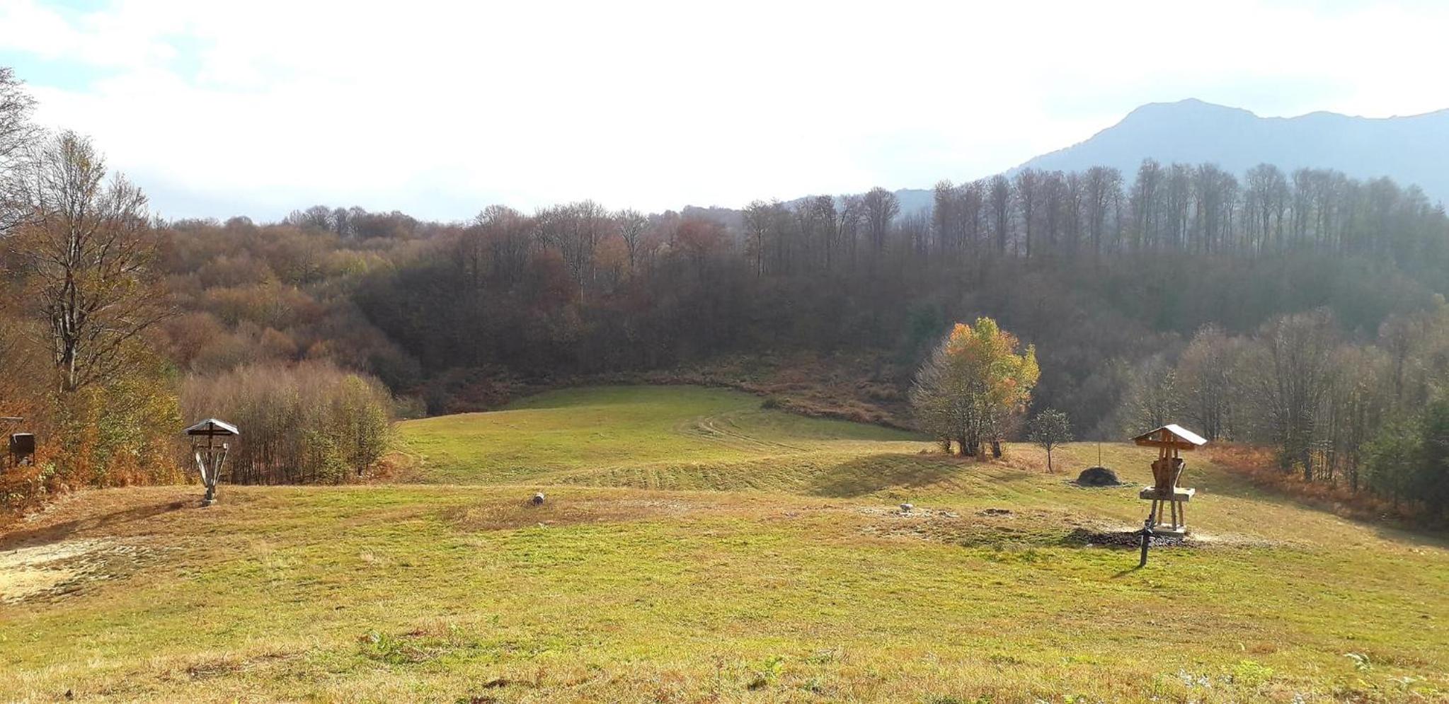 Къща за гости 
