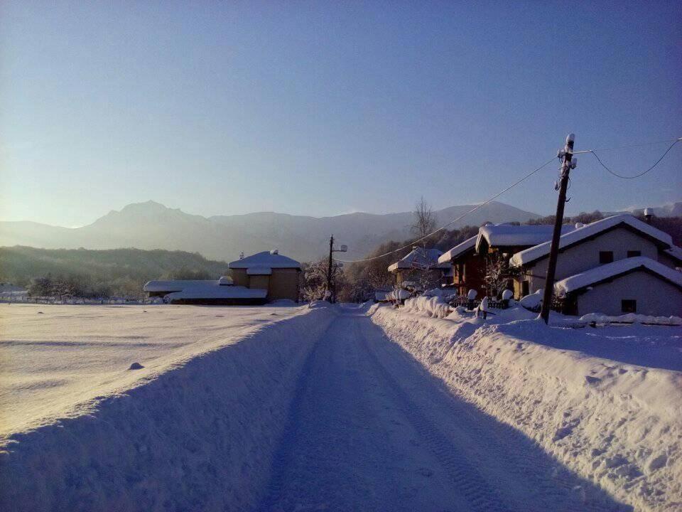 Къща за гости 